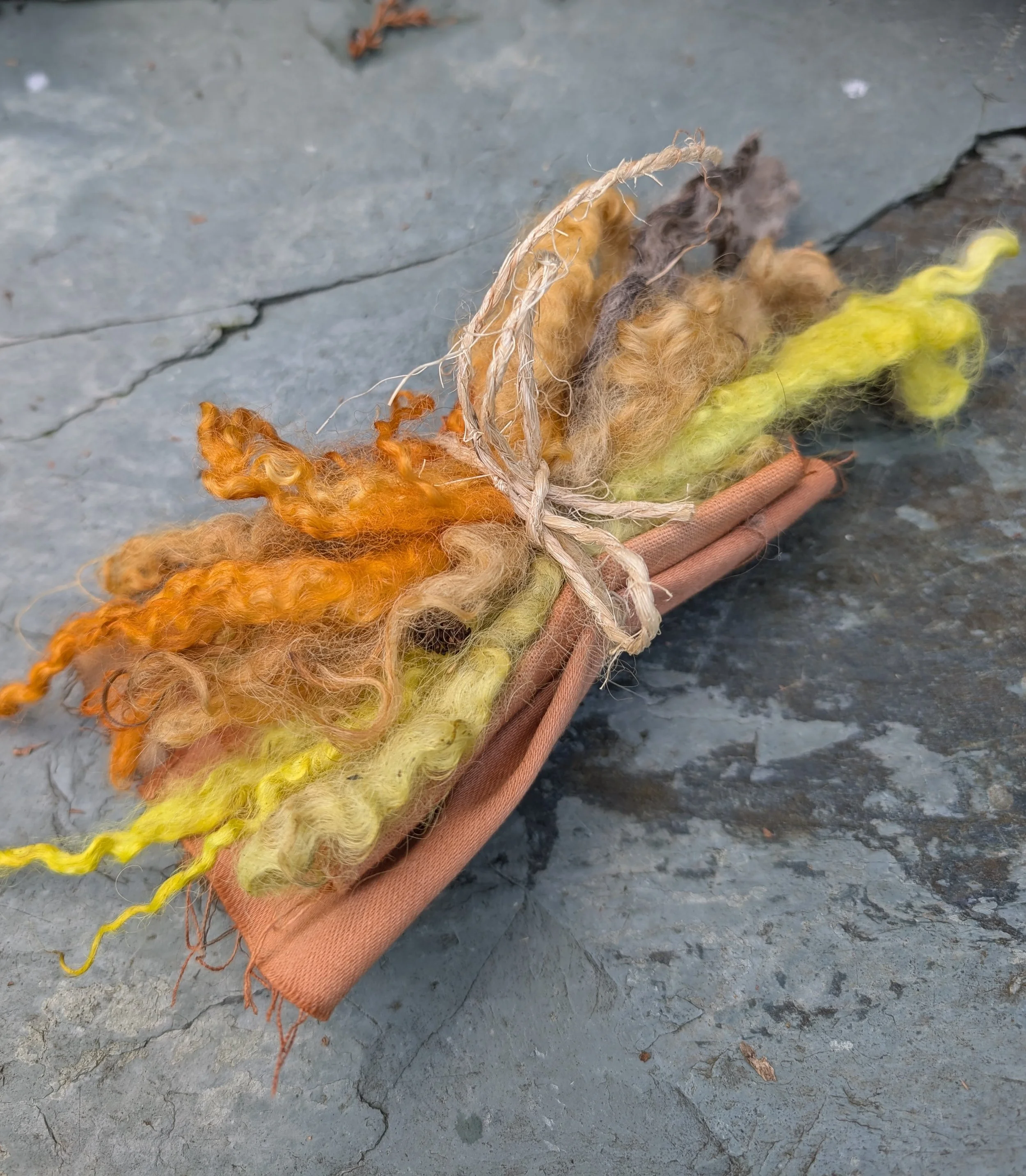 Taith gerdded a gweithdy lliwiau naturiol / Natural colour walk &amp; workshop