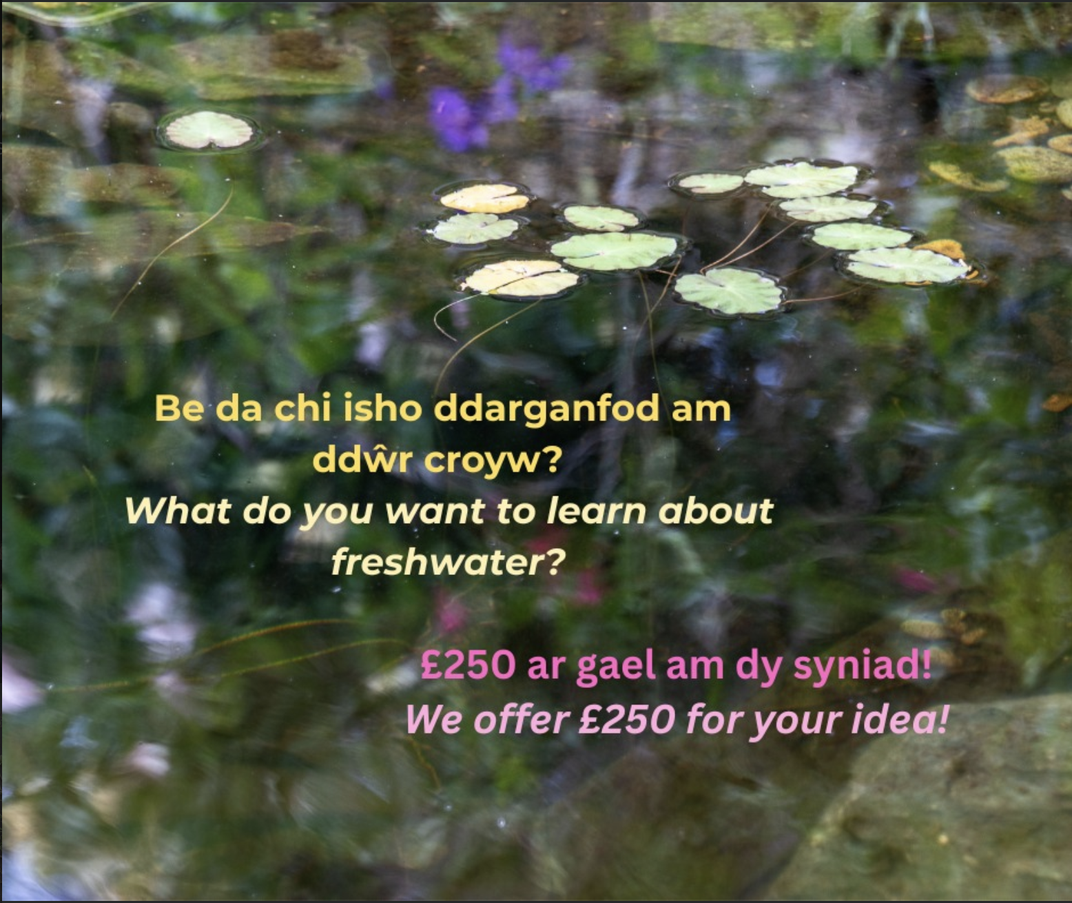 Lle mae syniadau newydd yn llifo - Fresh ideas, flowing together