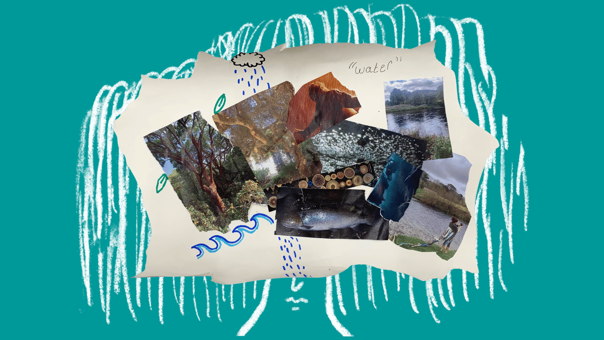 collages with a willow tree in the background