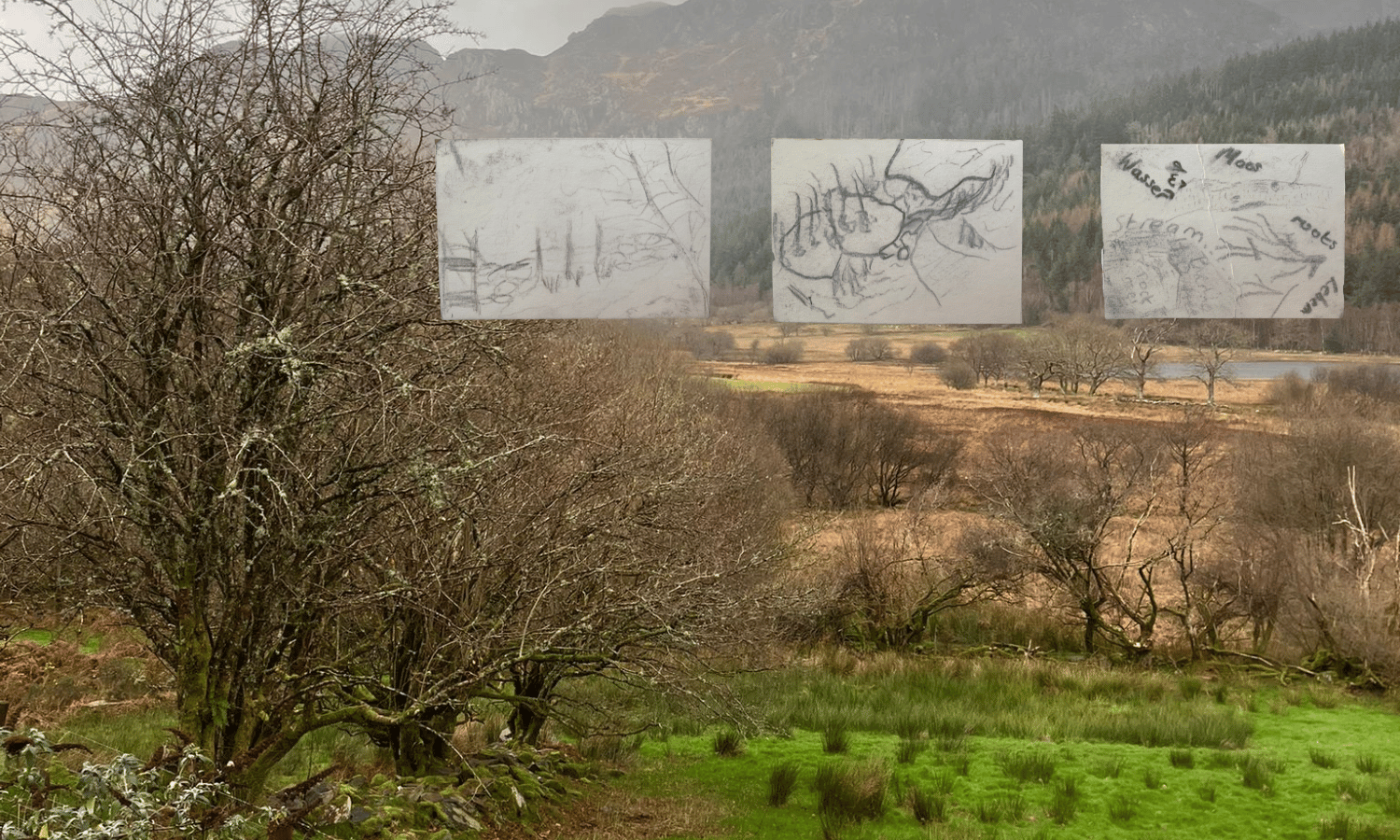 a mountainous landscape with trees overlaid with drawings
