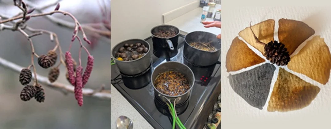 image gan Lin Cummins