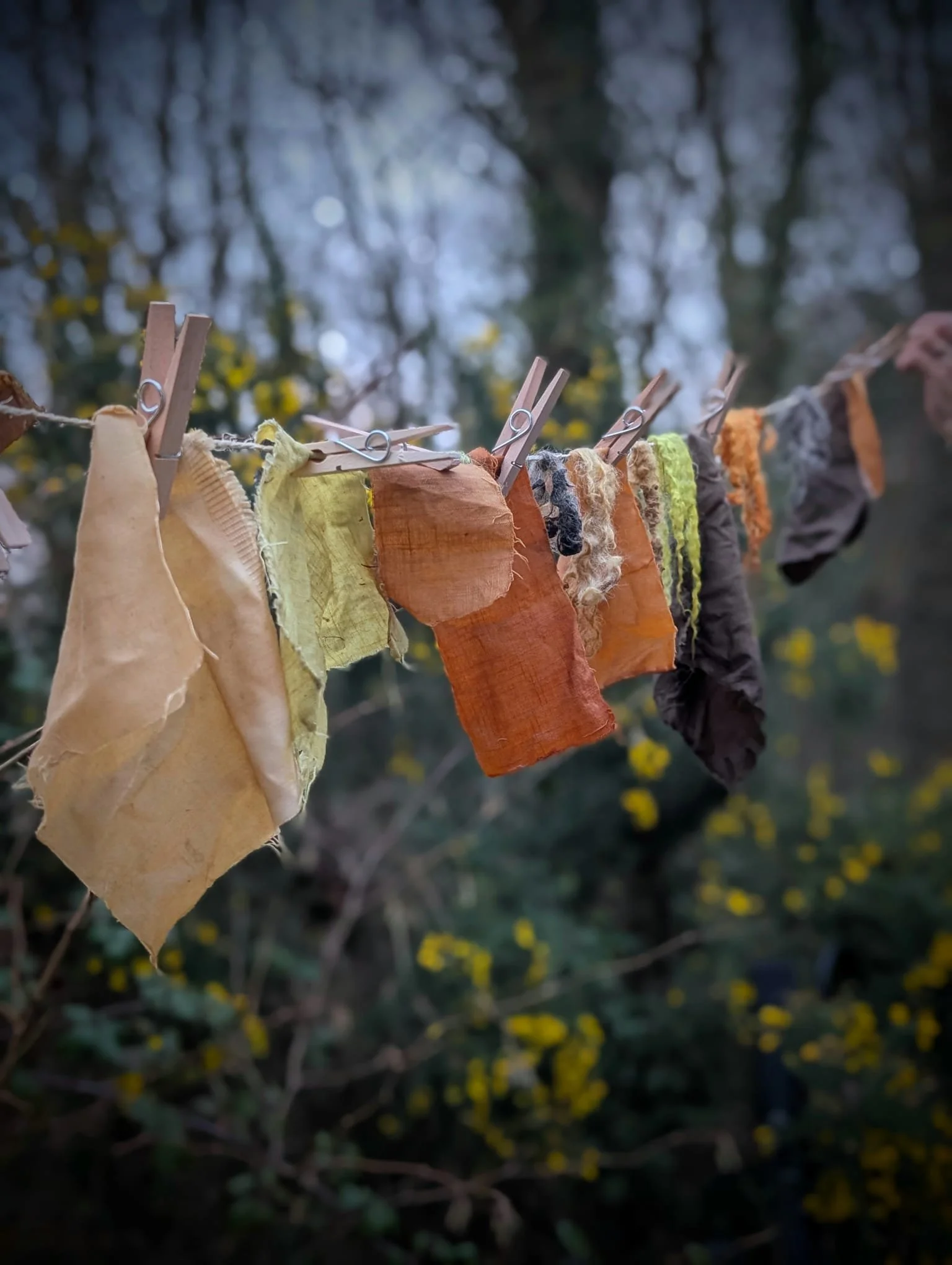 Gweithdai Edau’r Afon // Threads of the River Workshops @ Cog, Dolgarrog 