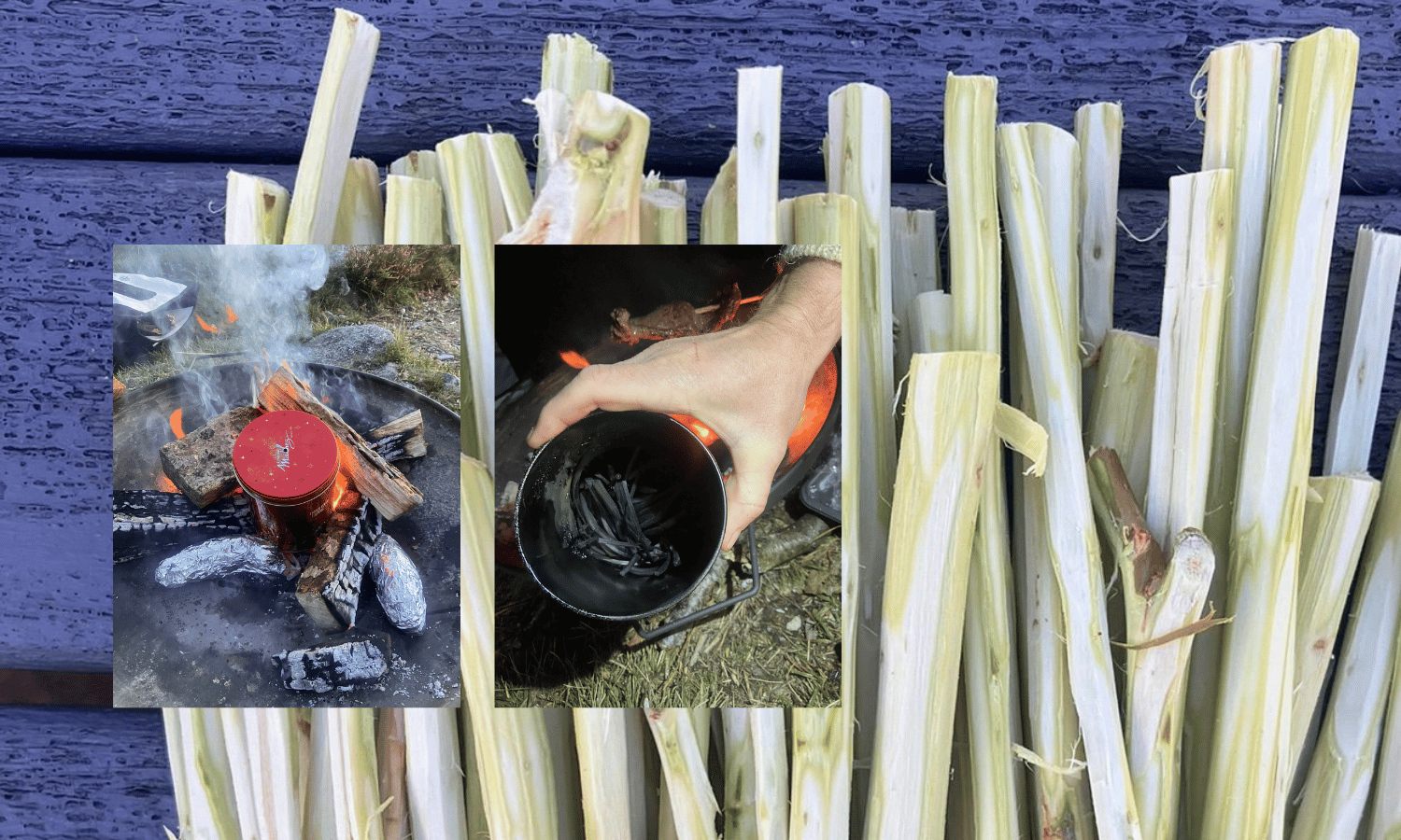 Dried out willow charcoal and pictures depicting it's pyrolisation into charcoal