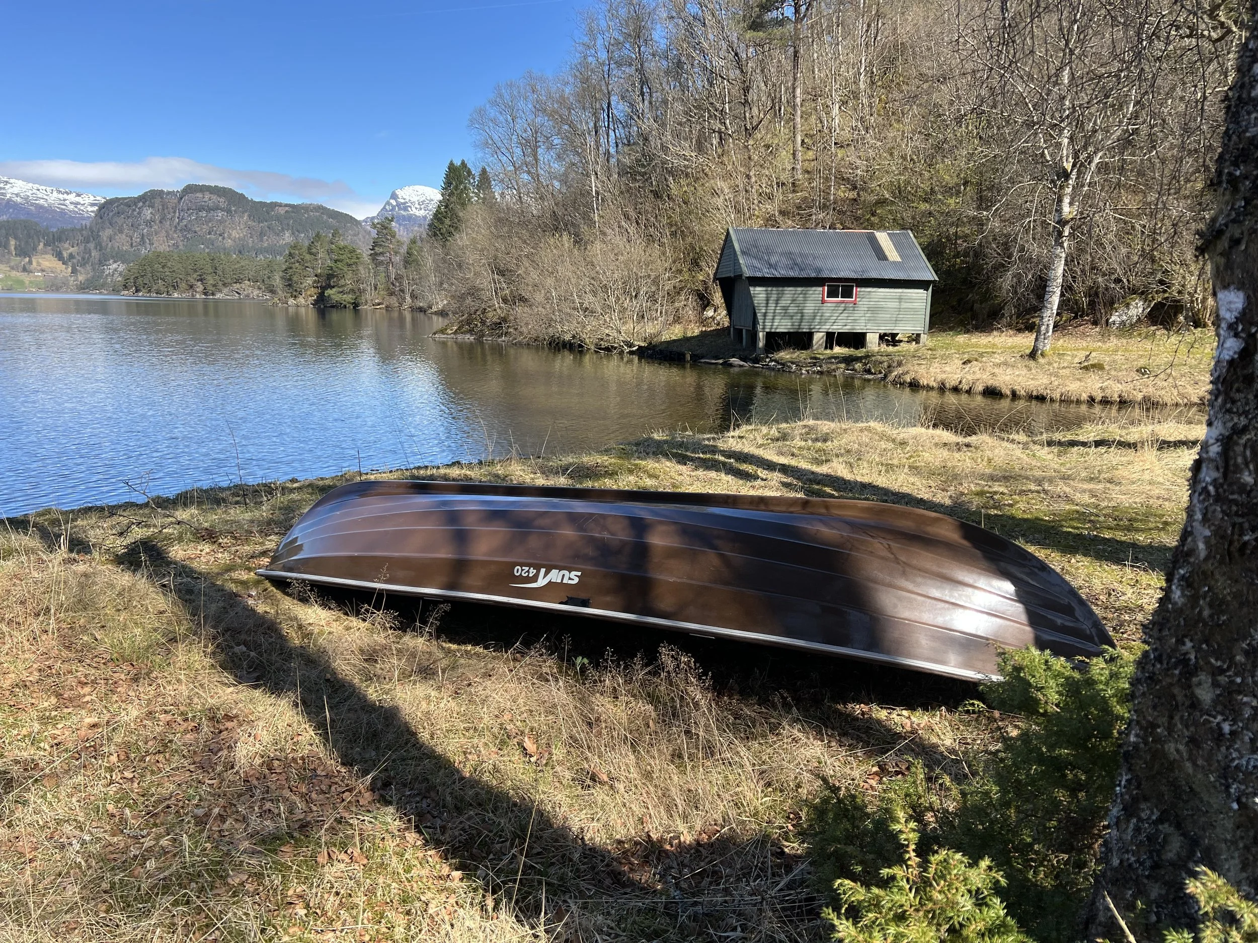 Skogseidvannet - ørret- og røyefiske