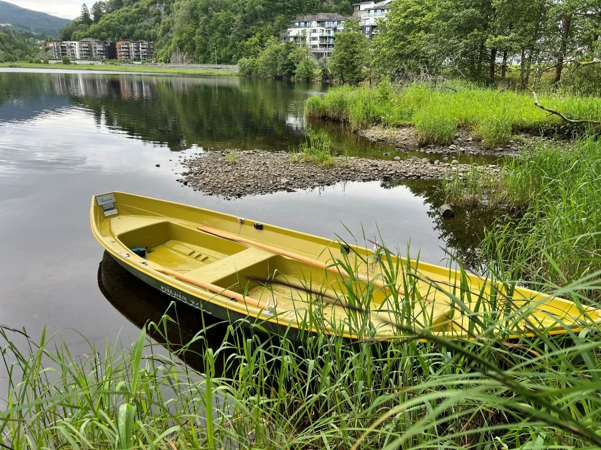 Store Nesttunvann - Ørret, Gjedde og Abbor