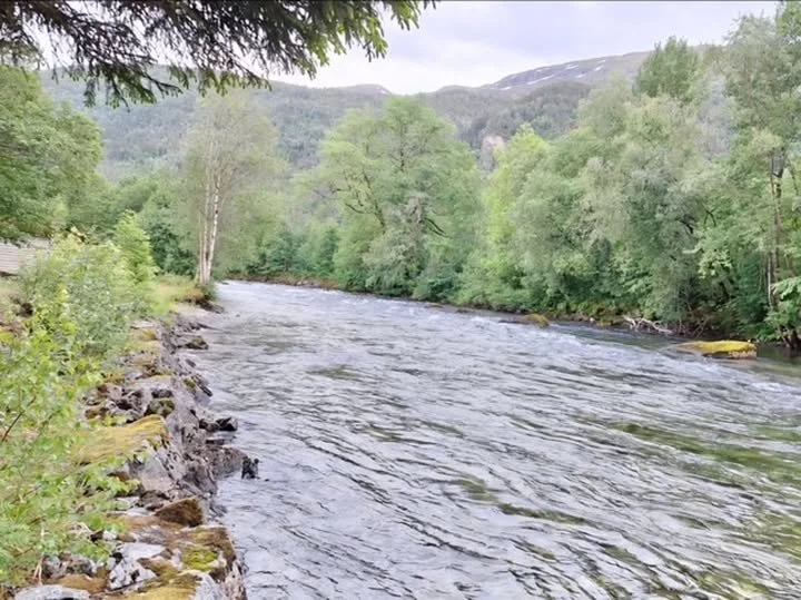 Vi kan tilby fiske på Hildenes retten i Eidselva 31/7 til 10/8.