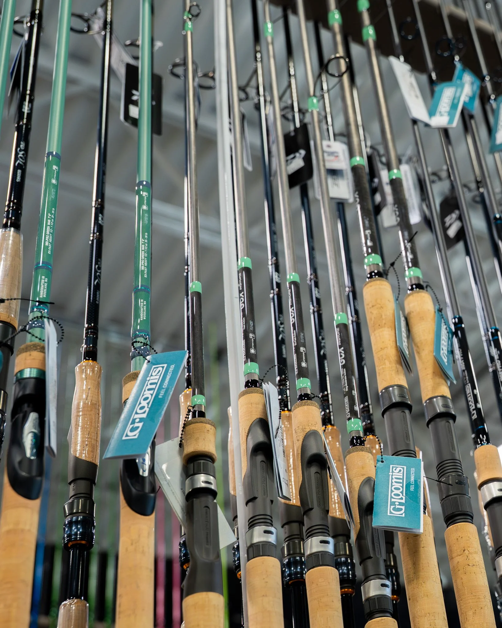 Early Spring Fishing in Tampa Bay: Is Your Gear Ready for the Season Shift?