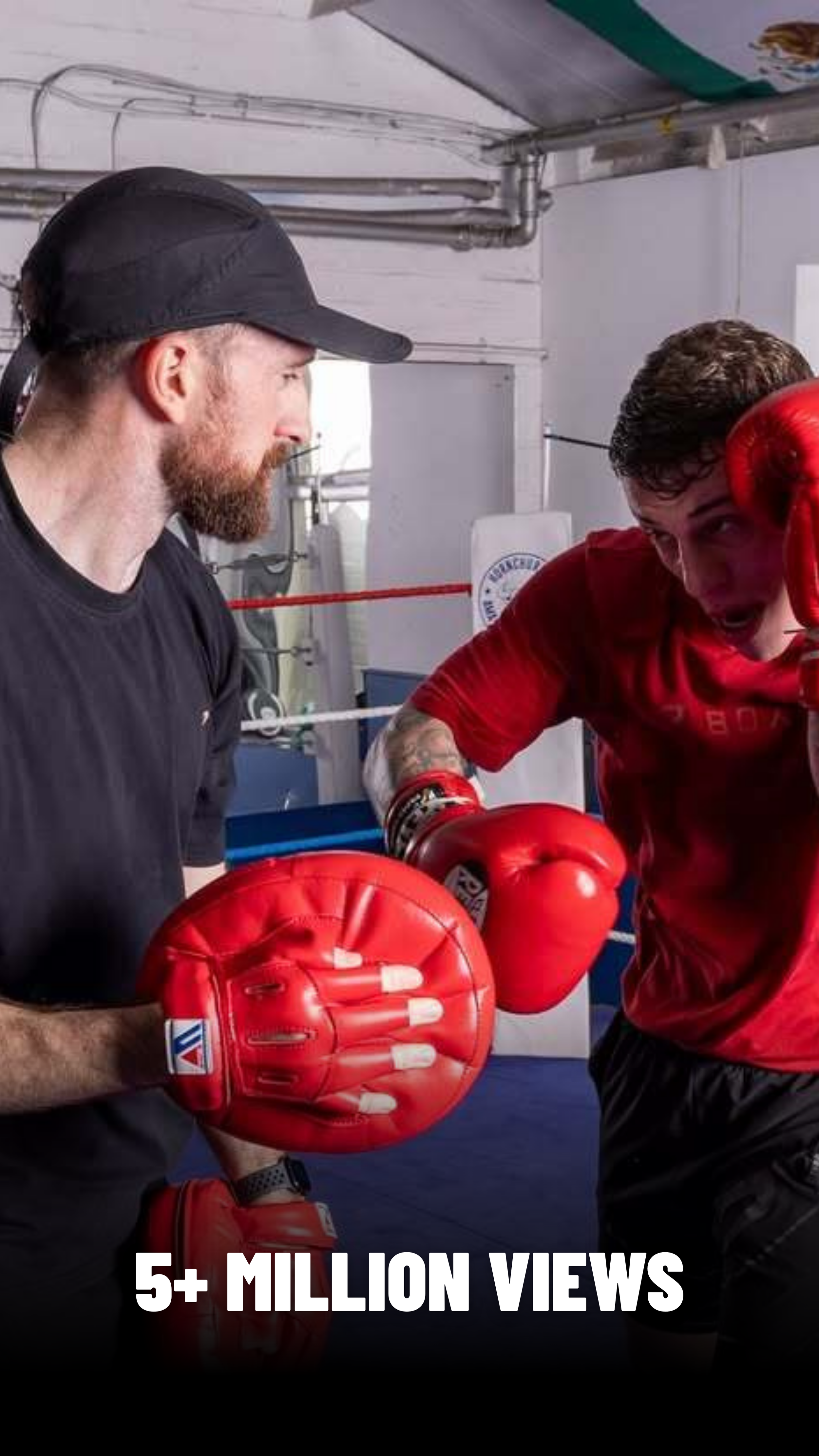 Viral Coach Demo Projects