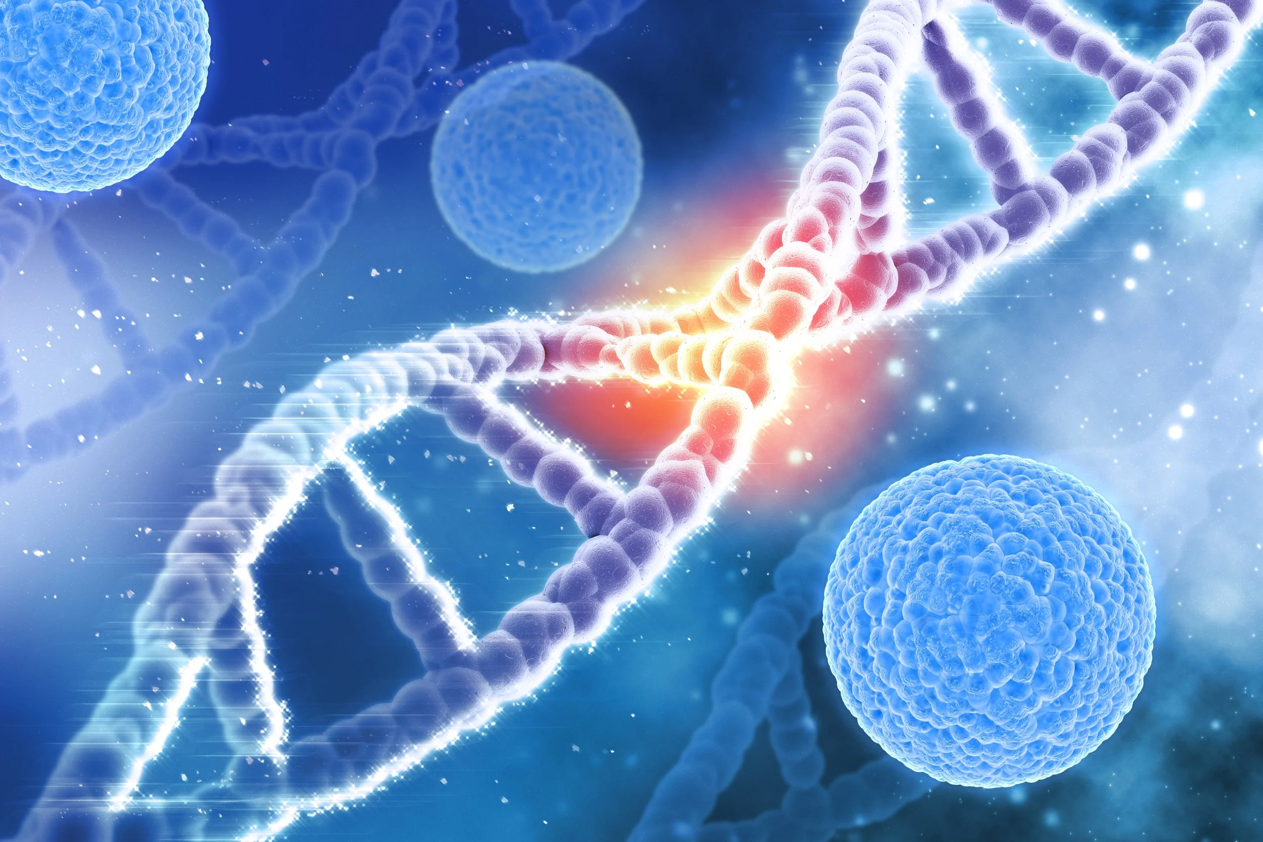 Illustration of the regenerative process behind PRP and PRF treatment