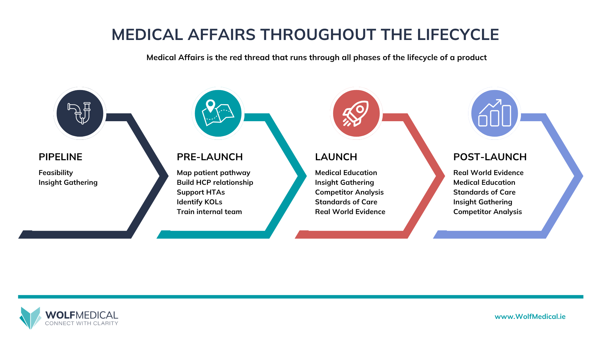 Diagram titled "Medical Affairs Throughout the Lifecycle" showing how Medical Affairs is the red thread that runs through all phases of a pharmaceutical product's lifecycle. Four phases are illustrated: pipeline, Pre-launch, Launch  and Post-Launch