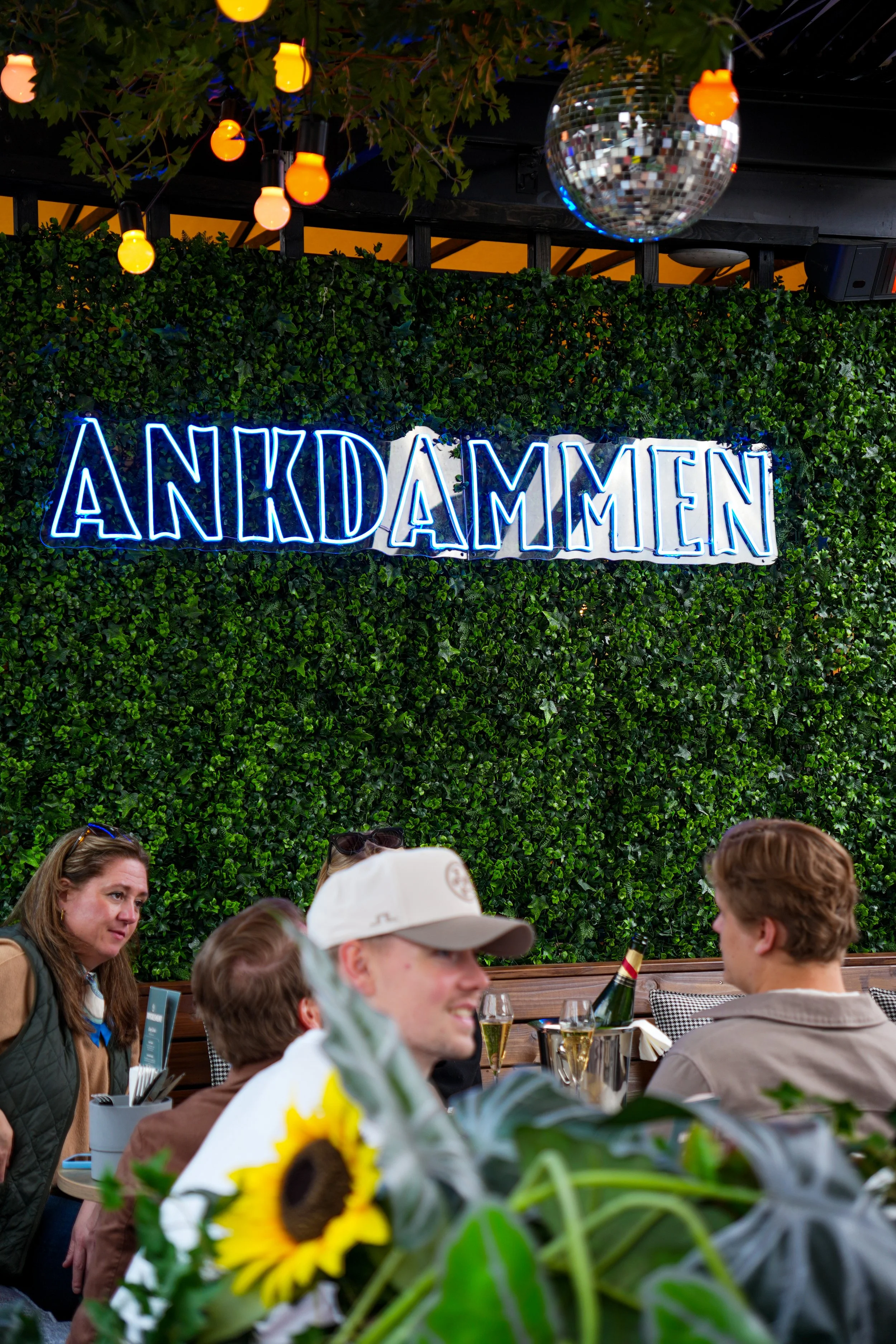Ankdammen 2-5-7.jpg