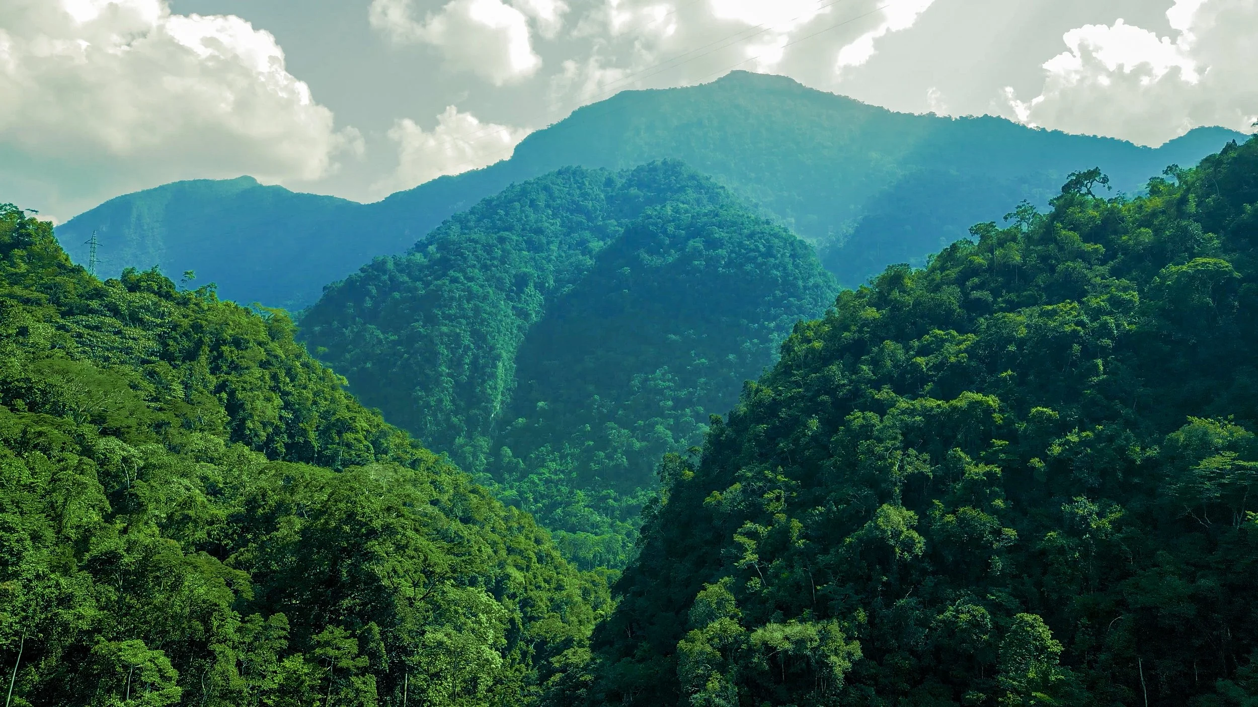 Outcomes-Based Financing in Peru’s National Protected Areas