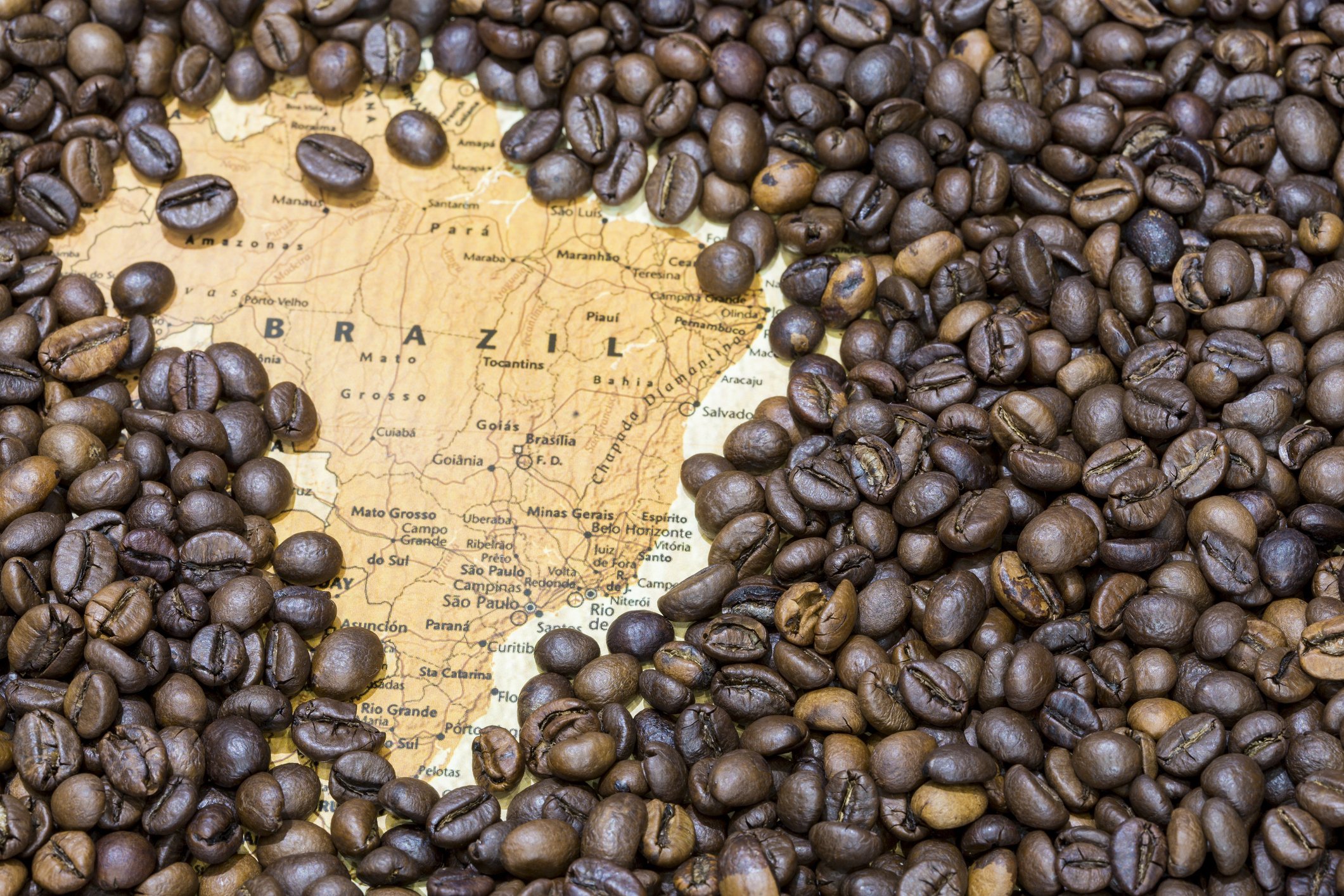 Unlocking finance for resilient smallholder coffee systems in Minas Gerais, Brazil
