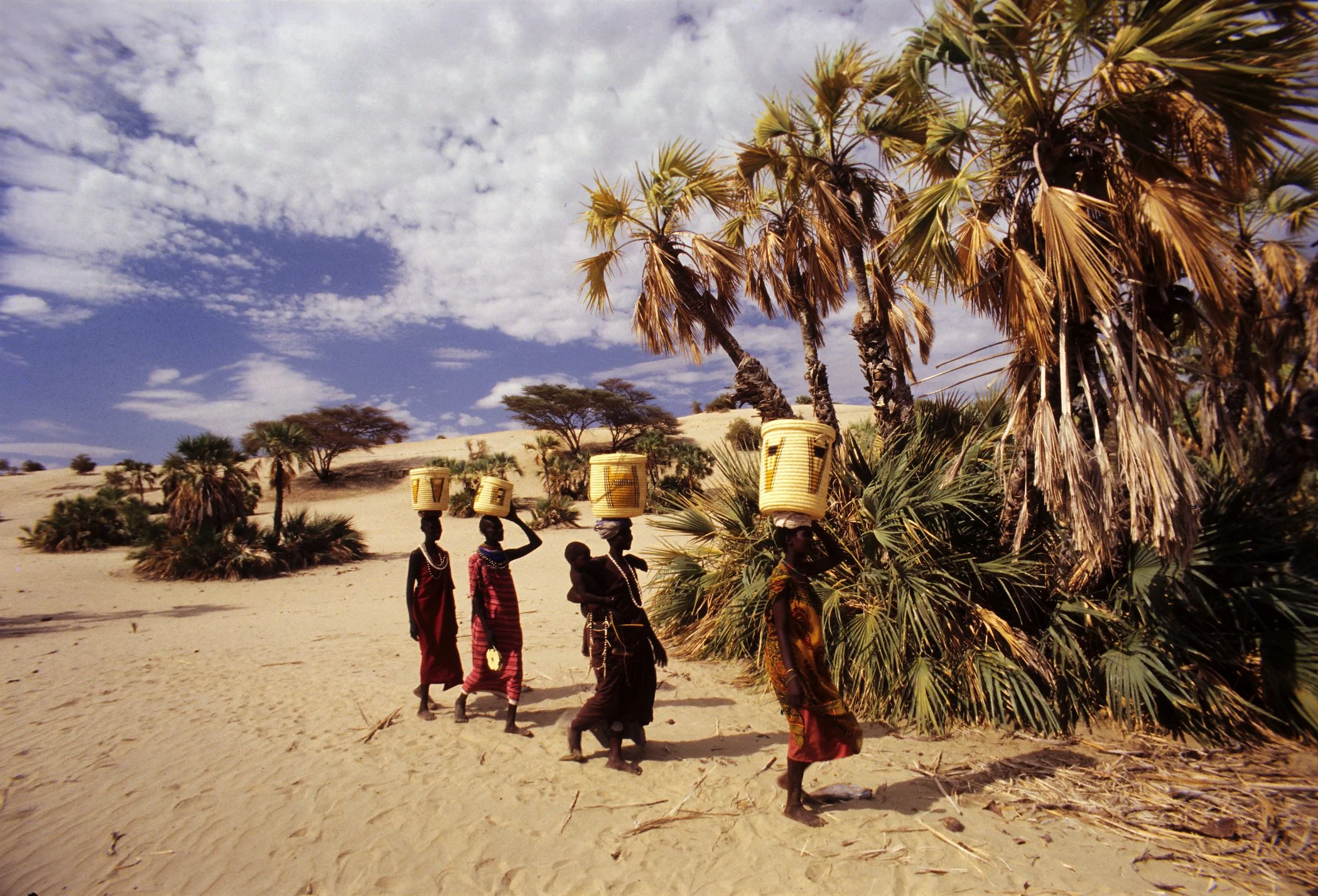 Redesigning humanitarian financing for Kenya's Arid and Semi-Arid Lands: 