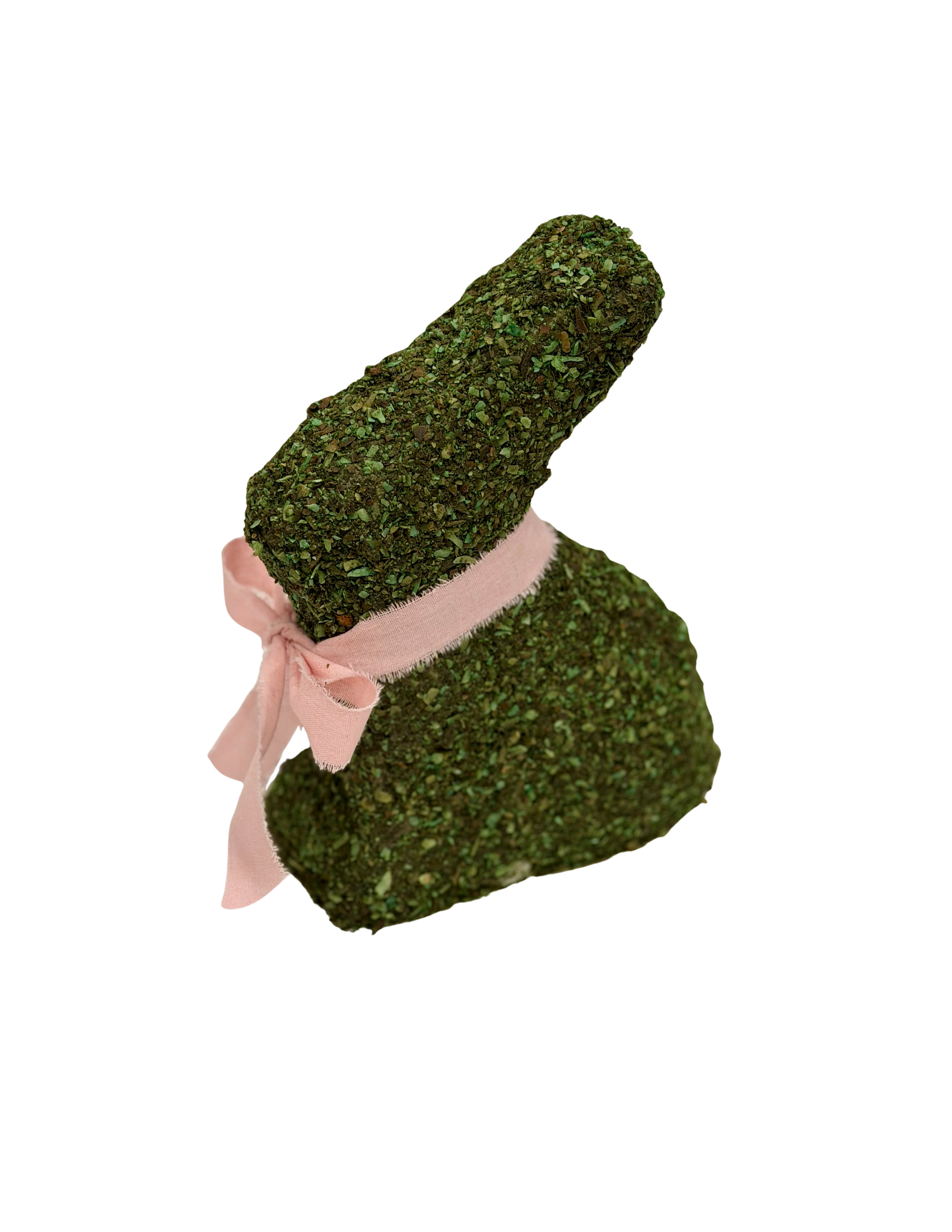 Moss Bunny Cake