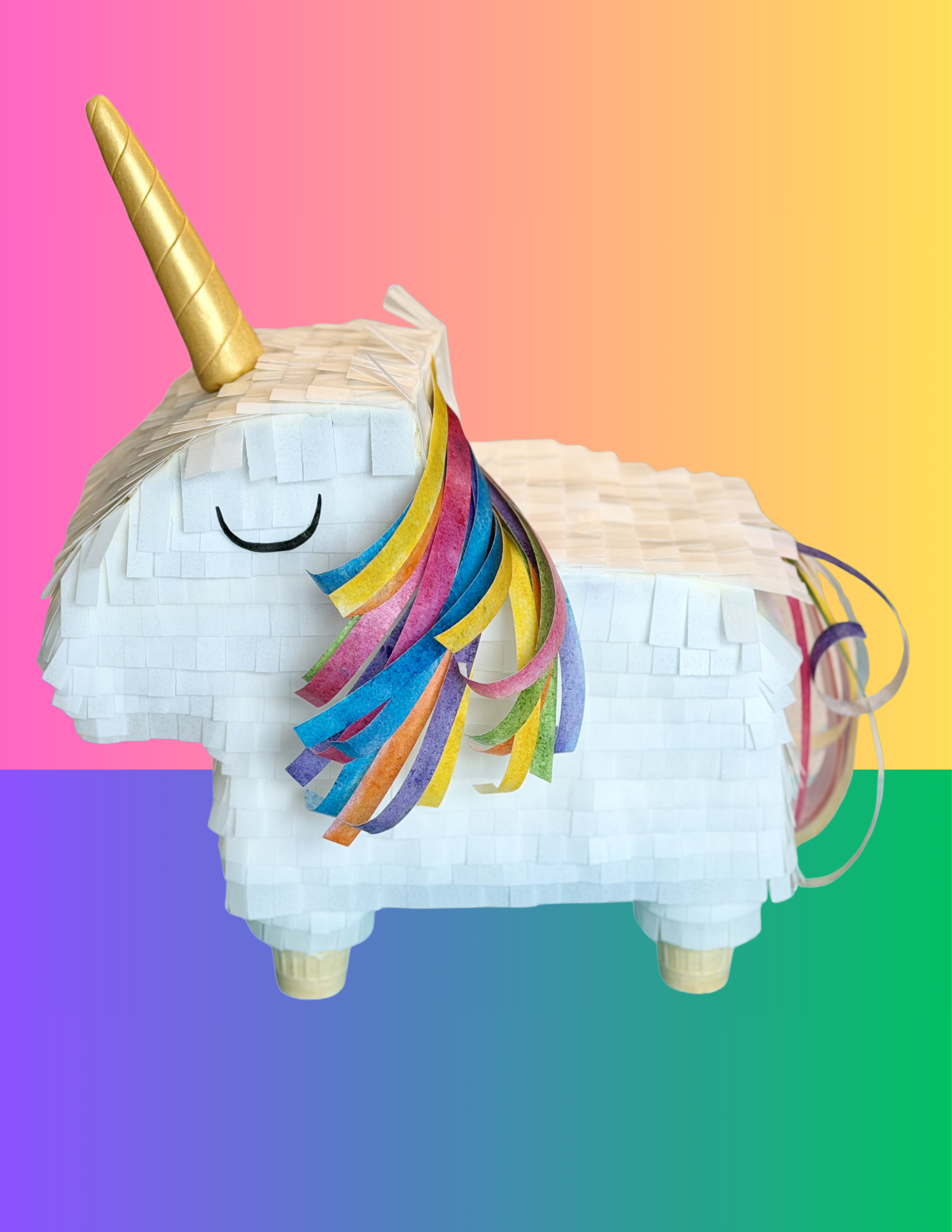 2024 2025 (8.5 x 11 in) (4).PNG