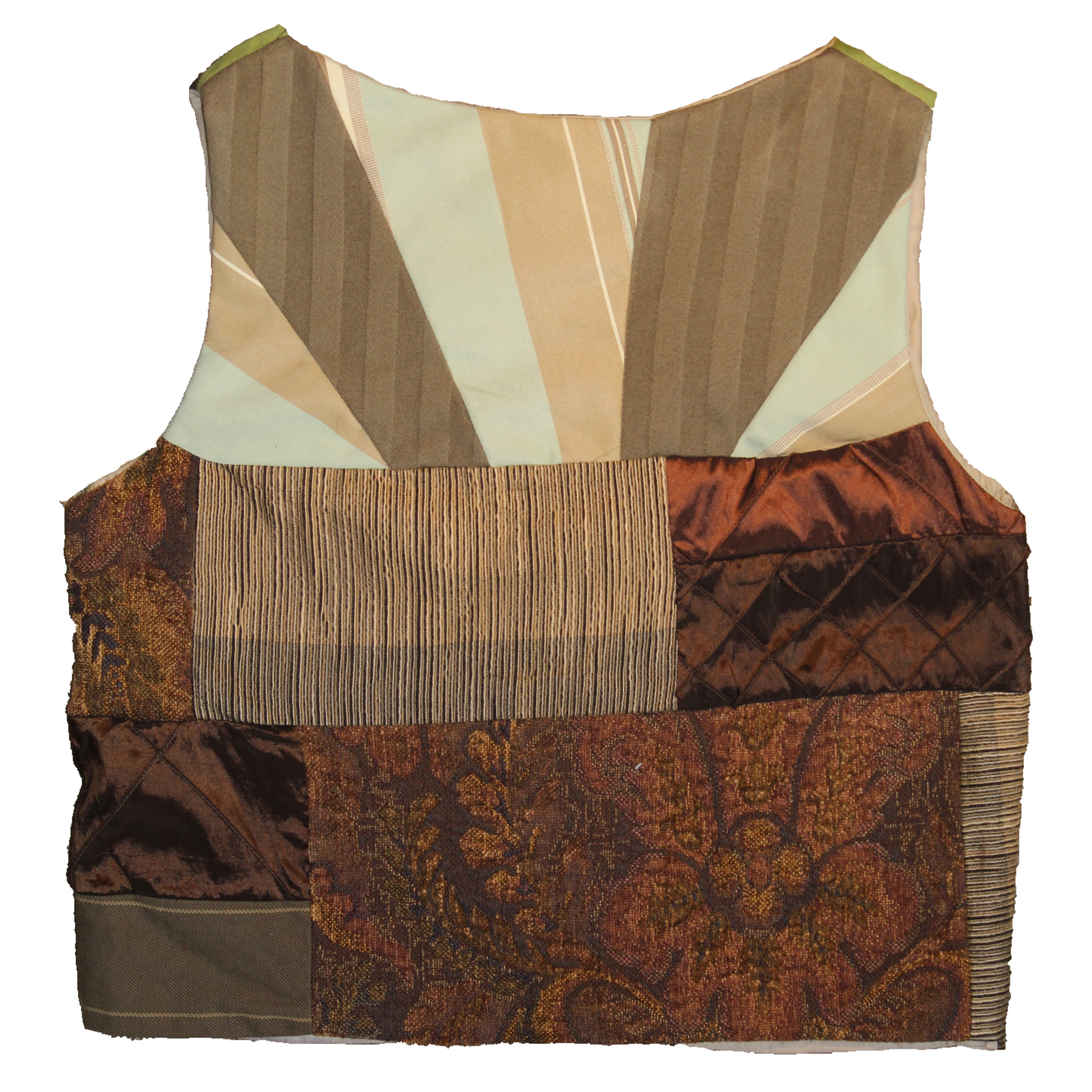 red bellied cooter back.png
