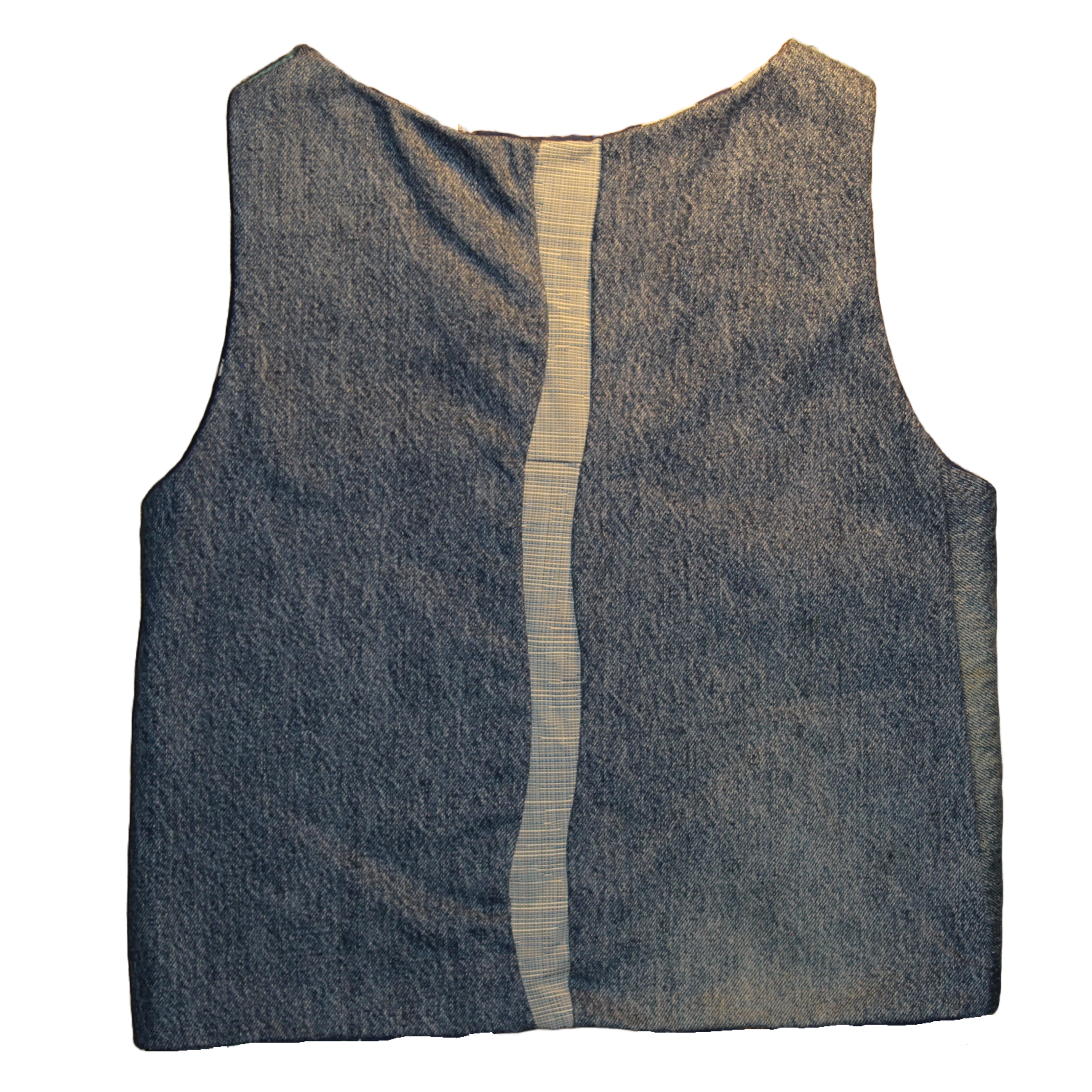 vermillion darter back.png