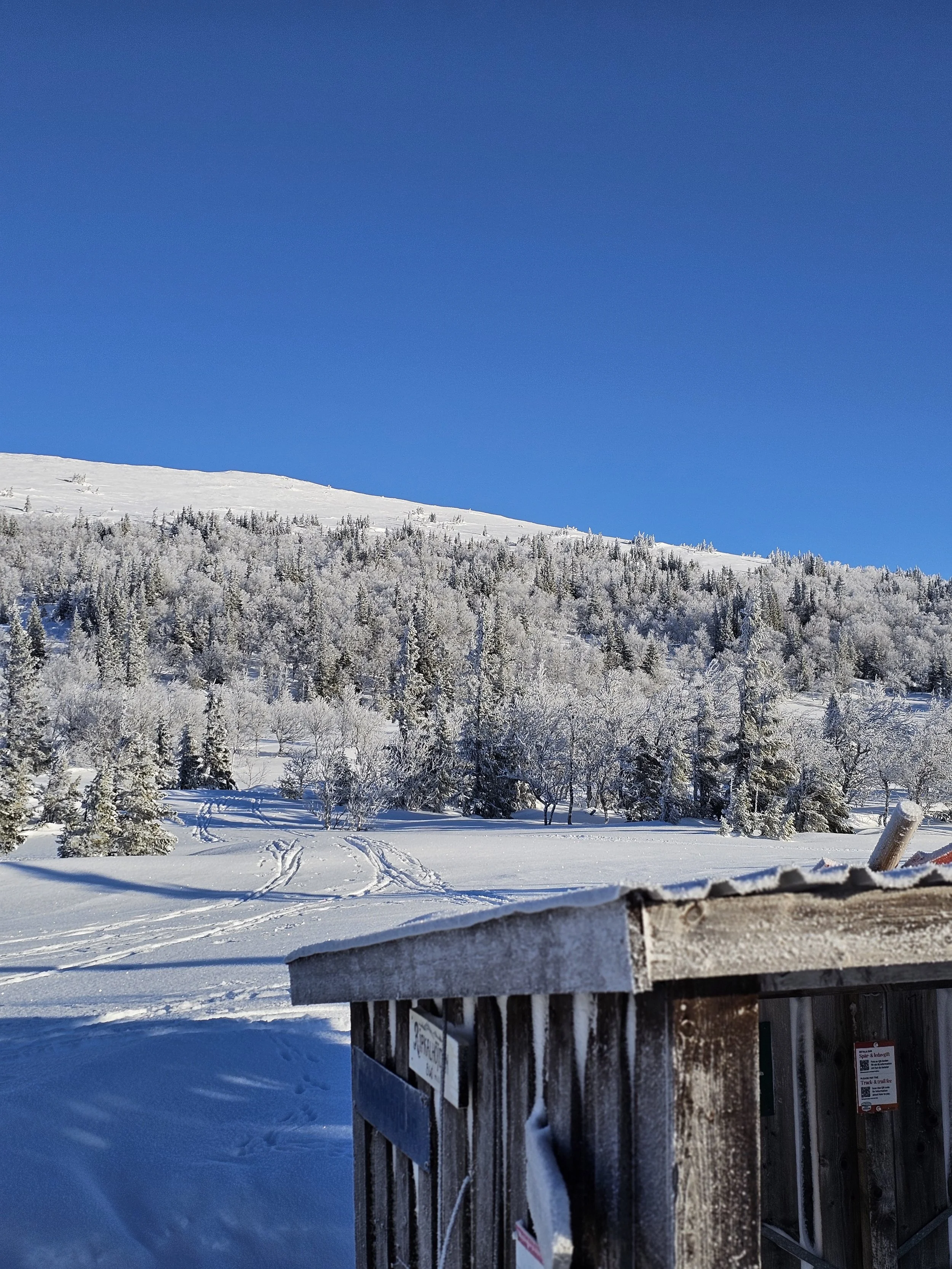 retreat åre längdskidor tjejer