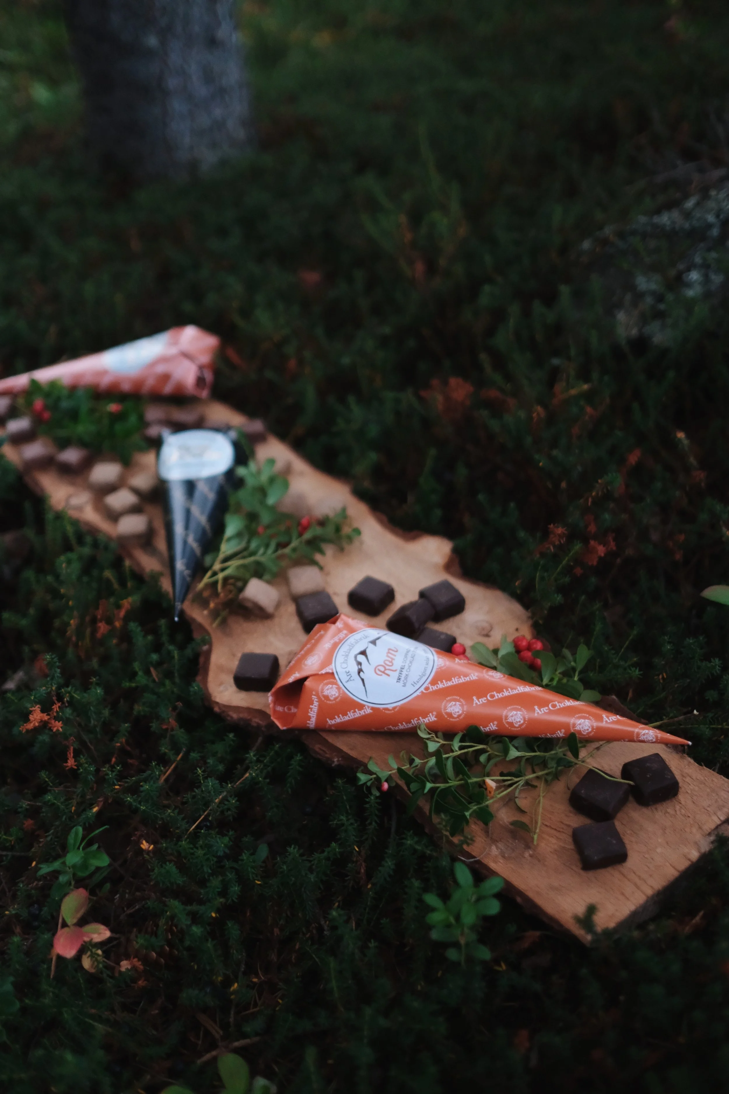 naturevent fjällrötter.JPG