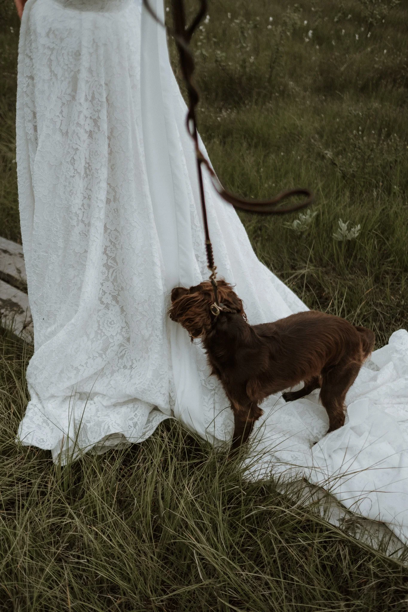bröllopsfotograf åre jämtland 