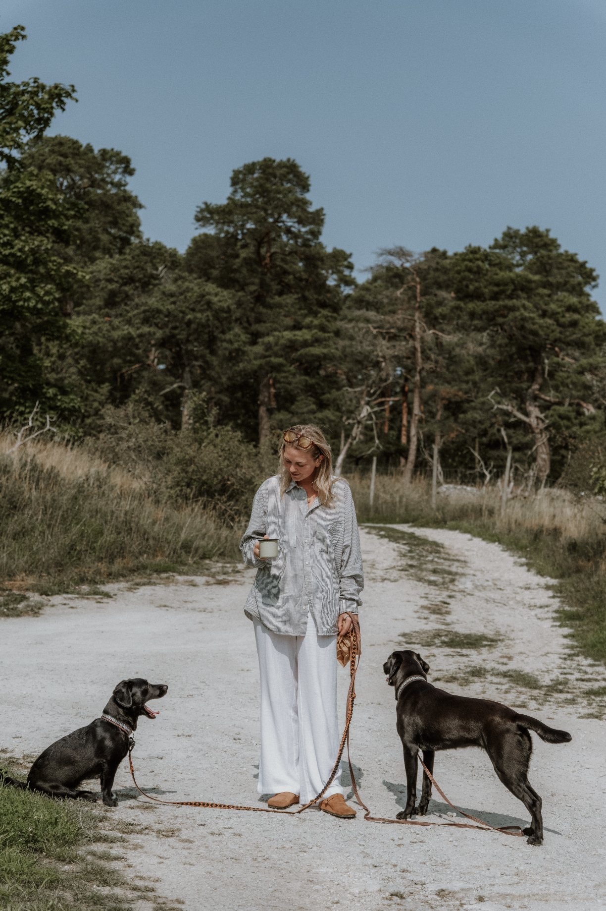 clara fjällrötter hund retreat