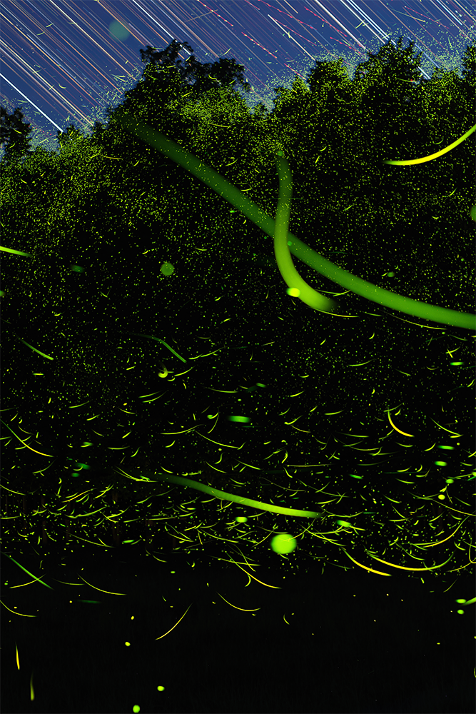 Thomas Valdez (@thomasav), “June Fireflies 01,” SE Michigan, Digital, Fujifilm X-T4, 2025.