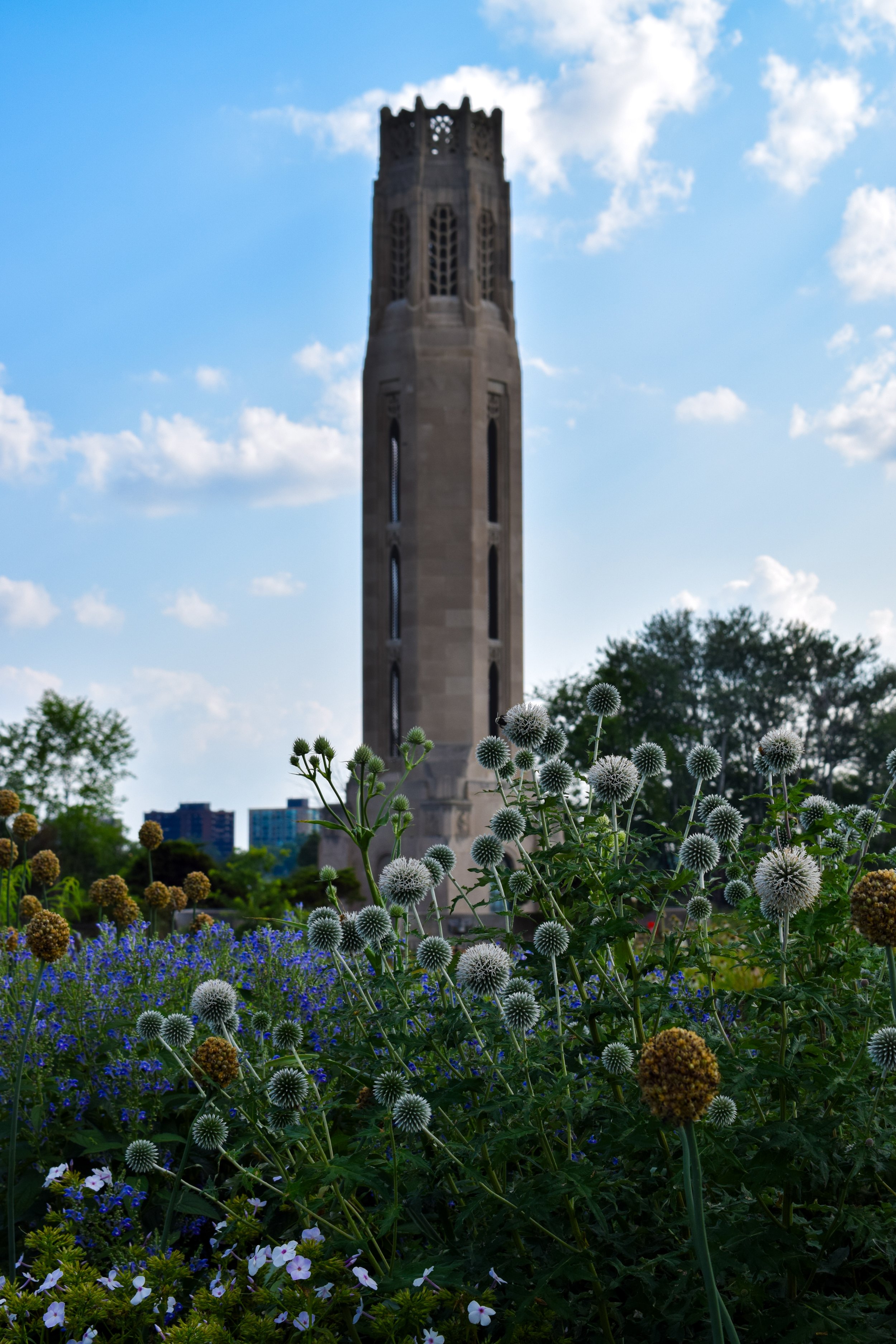 Kristan Gitzen (@kng_pov), “Beauty of Belle,” Belle Isle State Park, Digital, Nikon D3300, 2025.