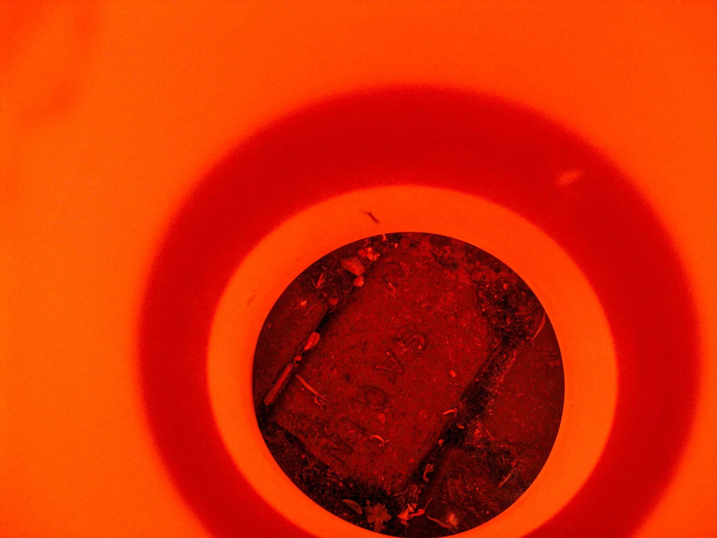 Madison Cantrell (@photomady), “Orange & Yellow,” Depot Town, Digital, 2026.