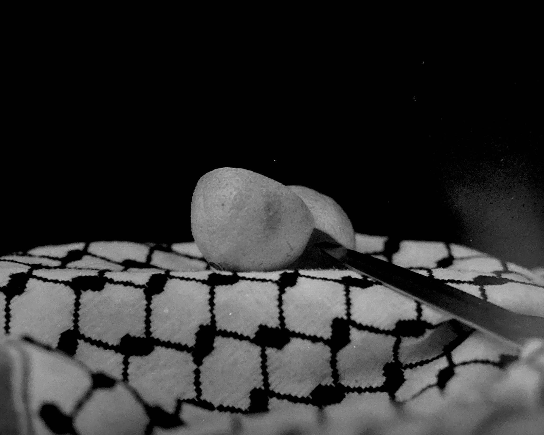 Ameera Salman (@grounded_stars), “War,” EMU Photo Studio, 120mm HP5, Mamiya Twin Lens, 2024.