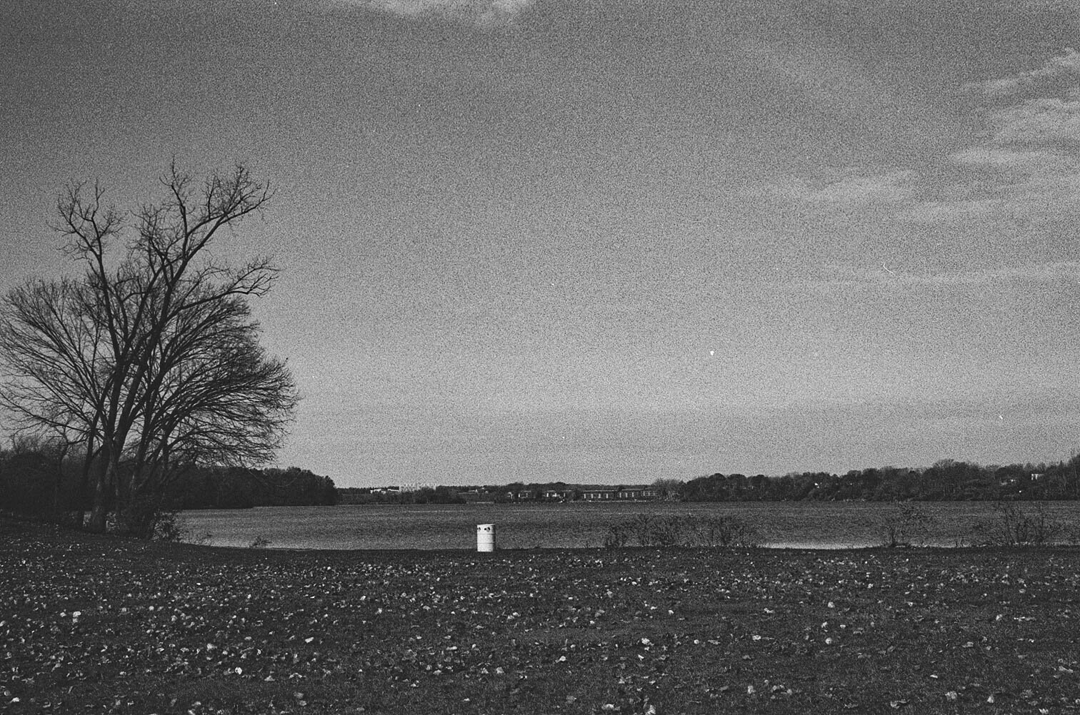 Ameera Salman (@grounded_stars), "Change," Ford Lake, Nikon N60, 2024.
