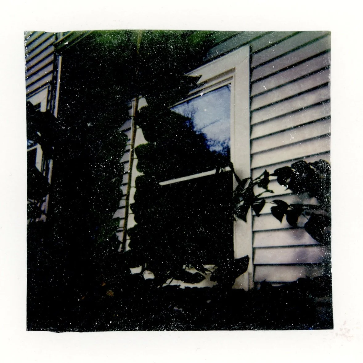 Madison Cantrell (@photomady), “Polaroids of Pearl,” Ypsilanti, MI, Polaroid emulsion lift, 2025.