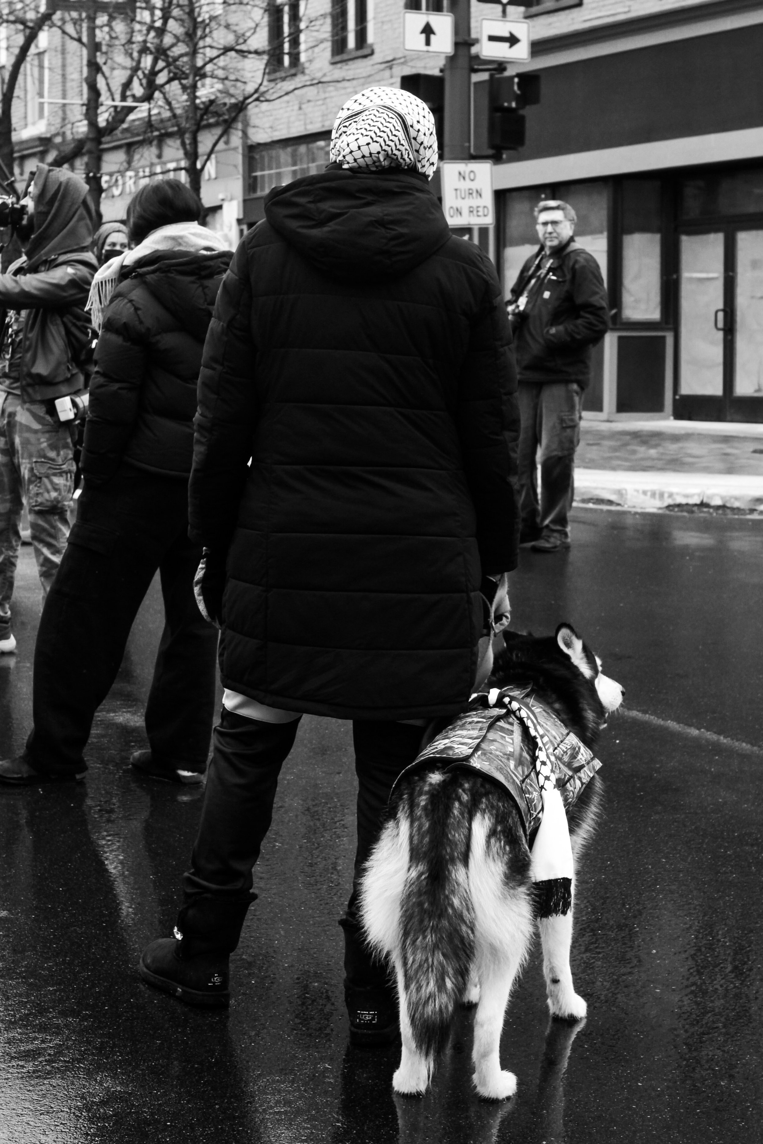 Madison Cantrell (@photomady), “Huskies For Palestine,” Downtown Ypsilanti, Digital, Canon 7D, 2024.