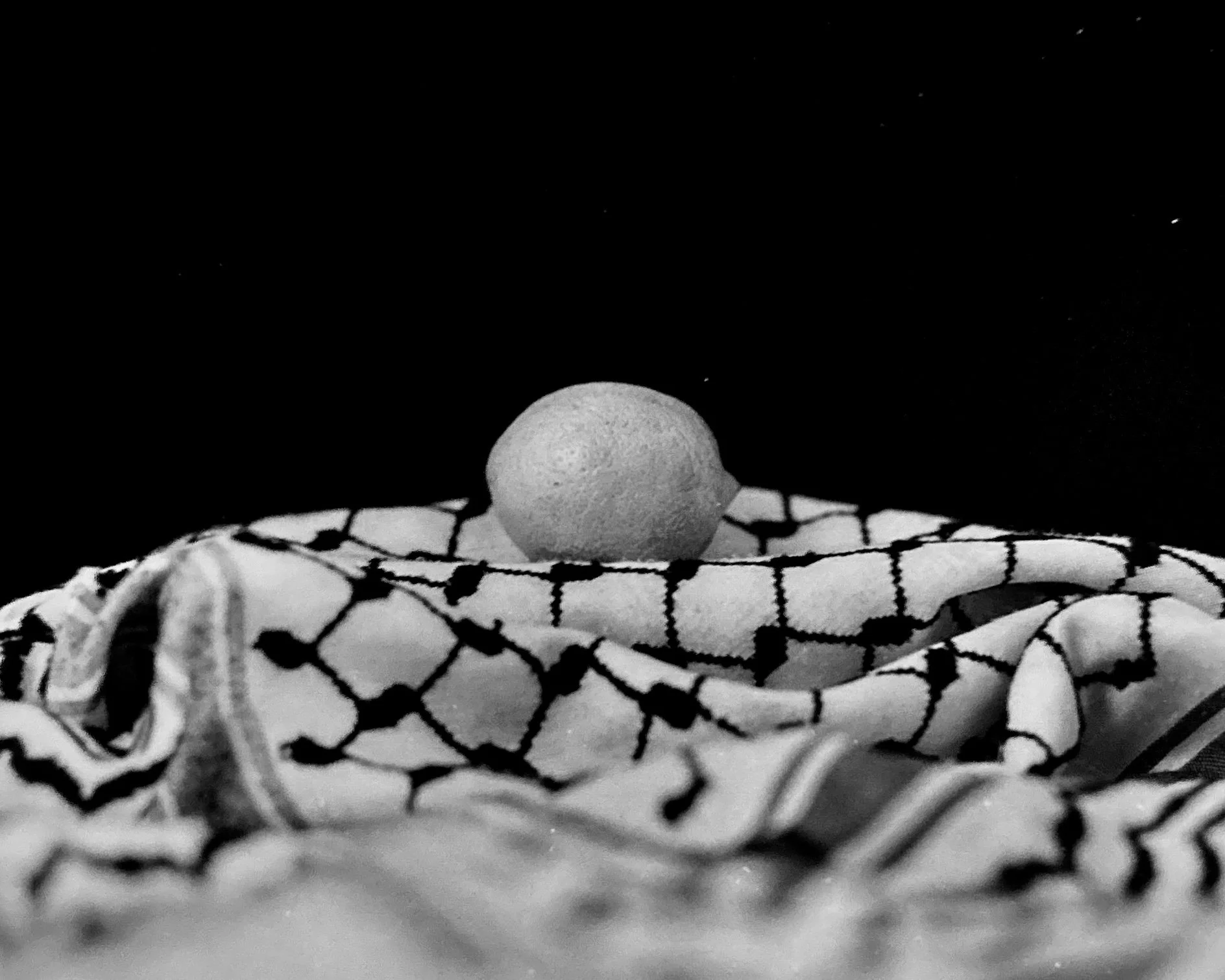 Ameera Salman (@grounded_stars), “Peace,” EMU Photo Studio, 120mm HP5, Mamiya Twin Lens, 2024.