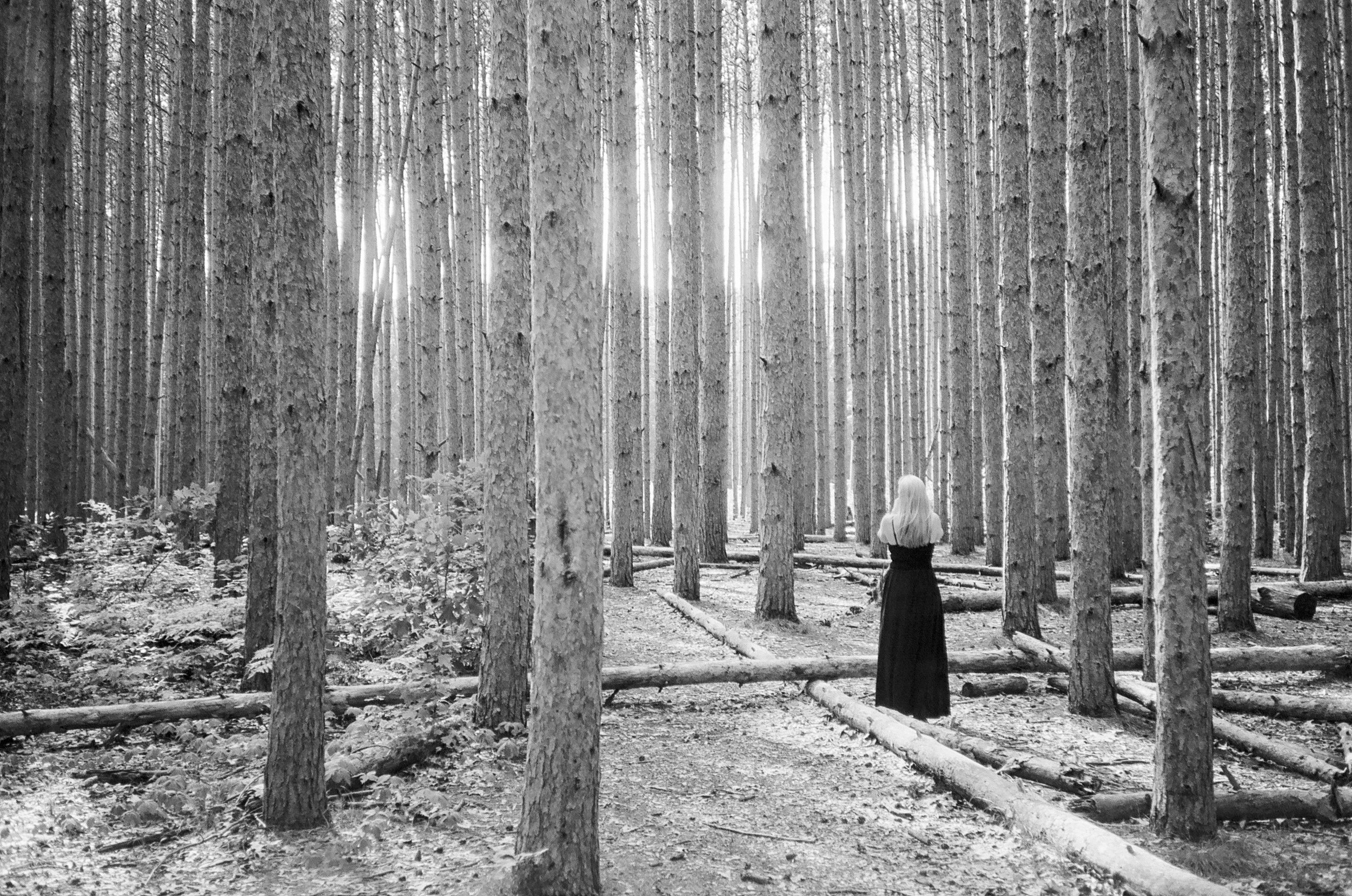 Andrew Nosay (@moofish, andrewnosay.com), “Gaia,” Ohio, Ilford XP2 Super, Canon Sureshot Telemax, 2025.