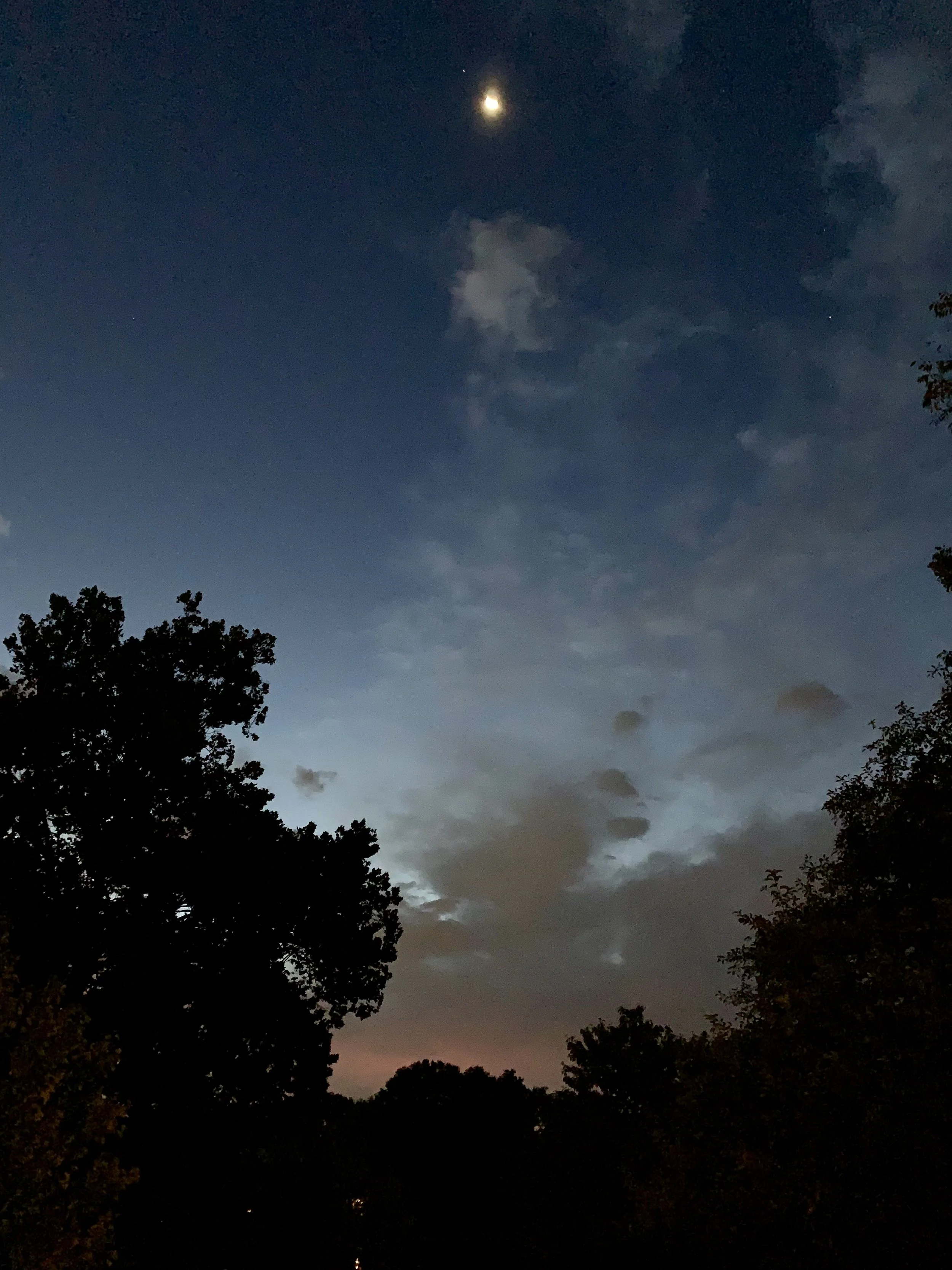 Laurie Green (@lauriegreen67), “Grateful,” Ypsilanti, Digital, iPhone XR, 2024.