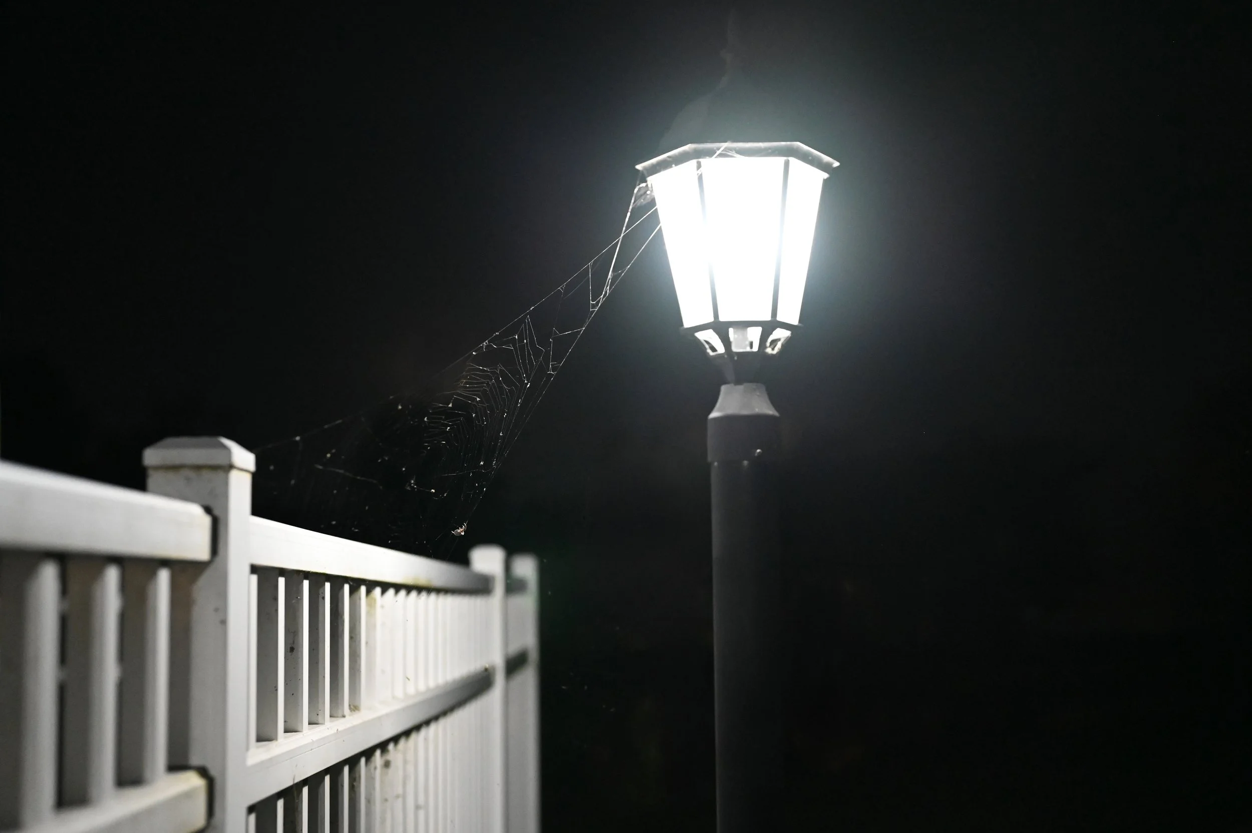 Kara Williams (@karagwilli), “Bridge,” Ann Arbor, Digital, Nikon, 2025.