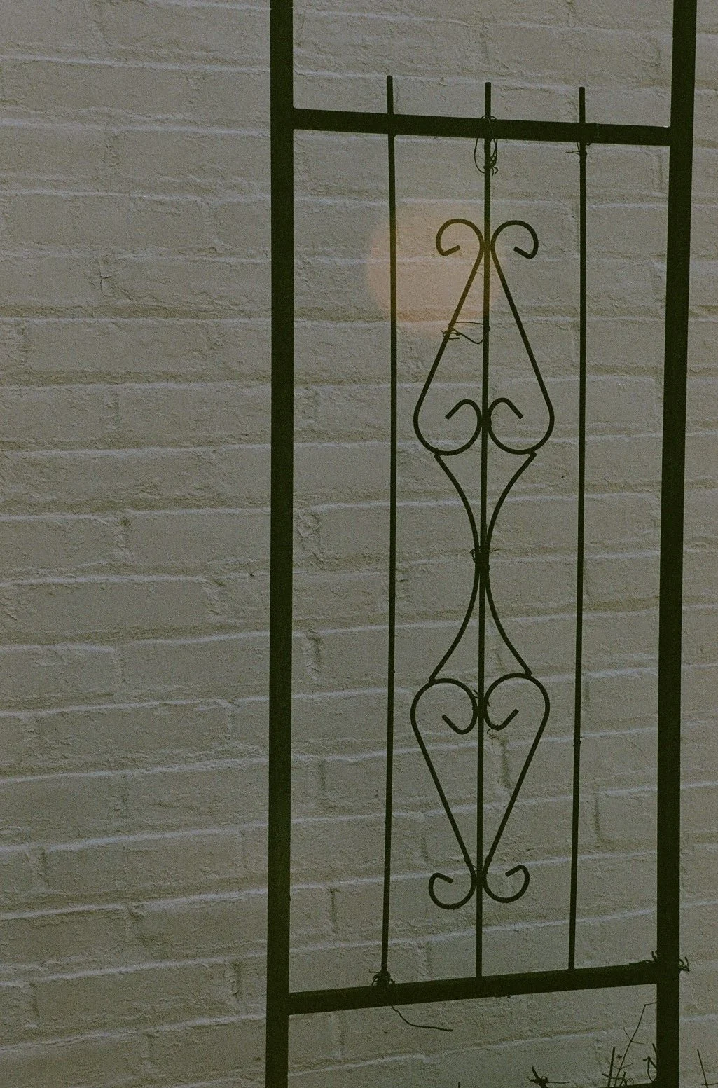 Madison Cantrell (@photomady), Untitled, Ypsilanti, Fuji 400, Canon Rebel 2000, 2026.