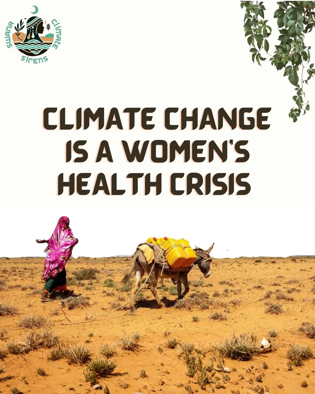 When the climate crisis hits, women&rsquo;s bodies pay first.

In SWANA, rising heat, pollution, and scarcity are becoming a public health emergency for women, yet their health remains sidelined in climate action.

Climate justice without women&rsquo