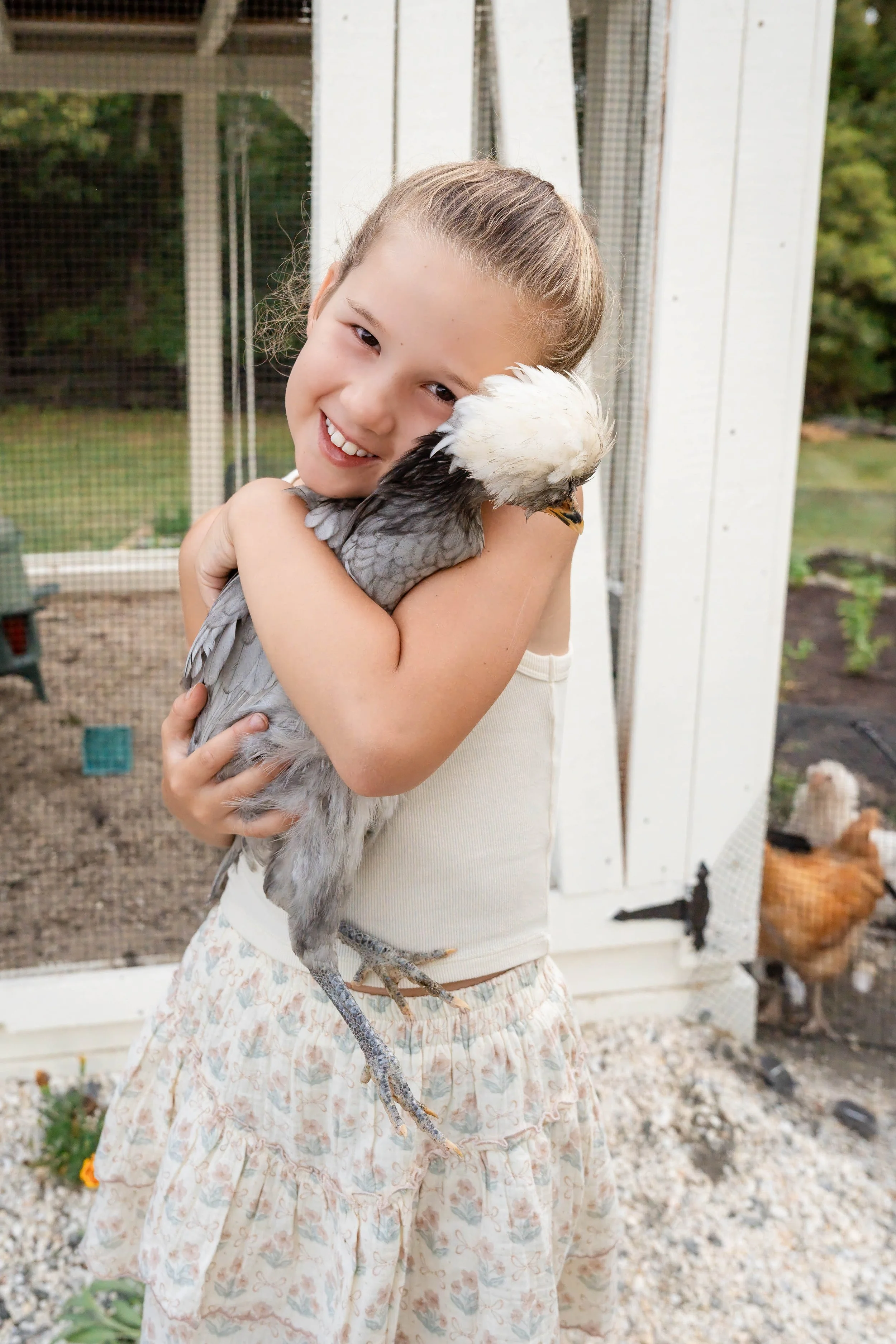  Young girl smiling while gently holding a chicken outside the coop at Grey Oaks Farm in Free Union, Virginia. 