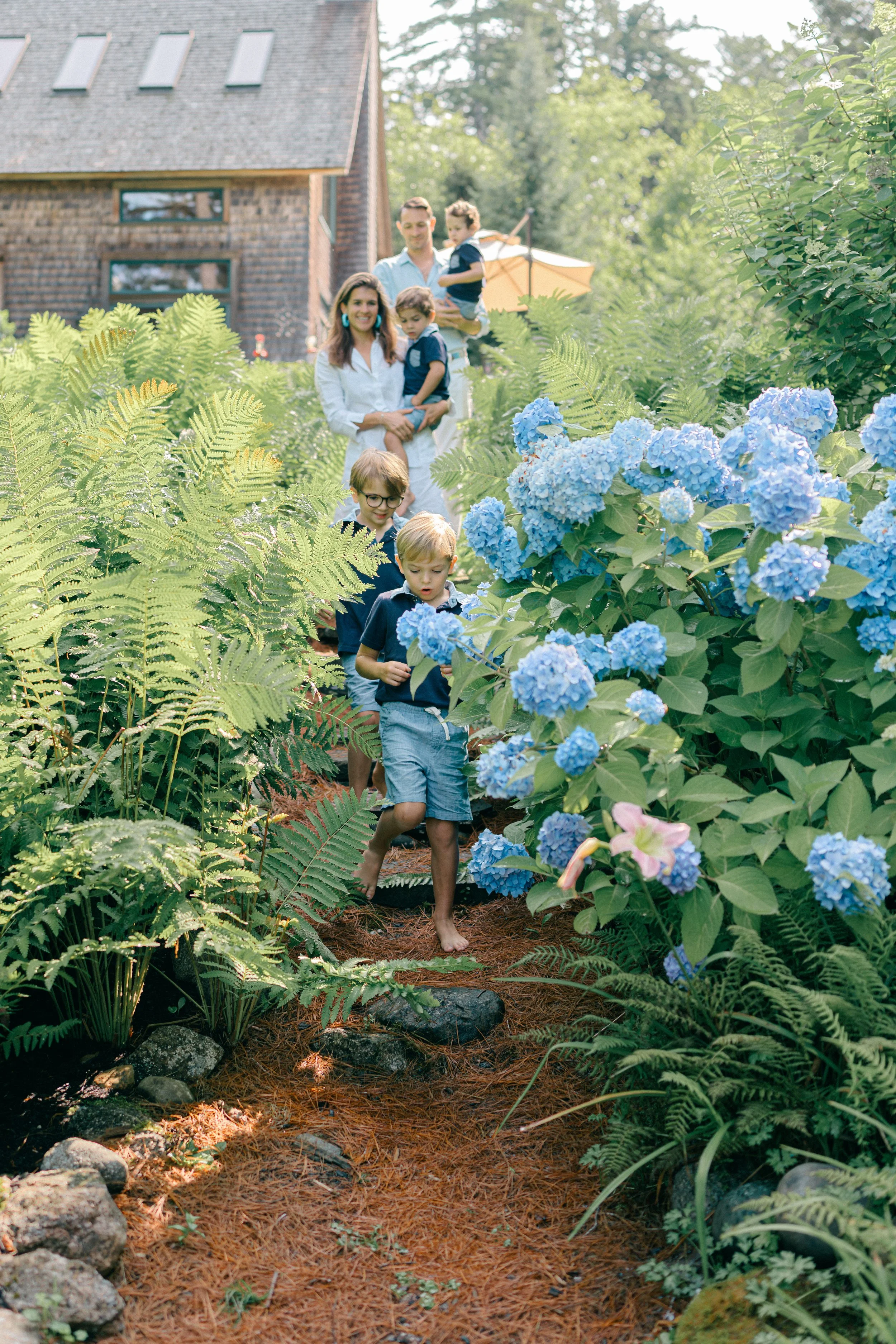 Children walking along a garden path lined with blue hydrangeas during a Maine family photography session