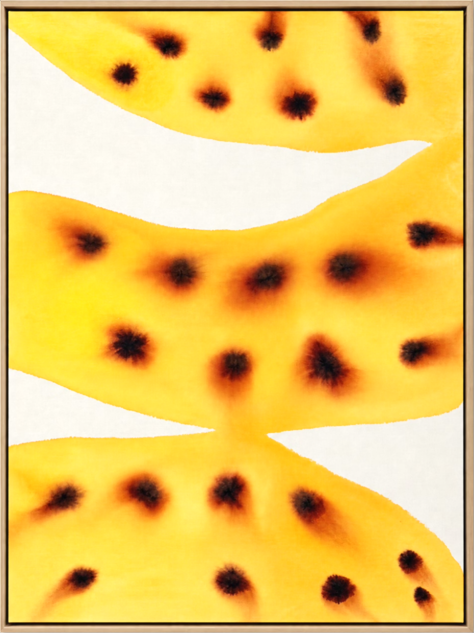 IMG_1365.PNG