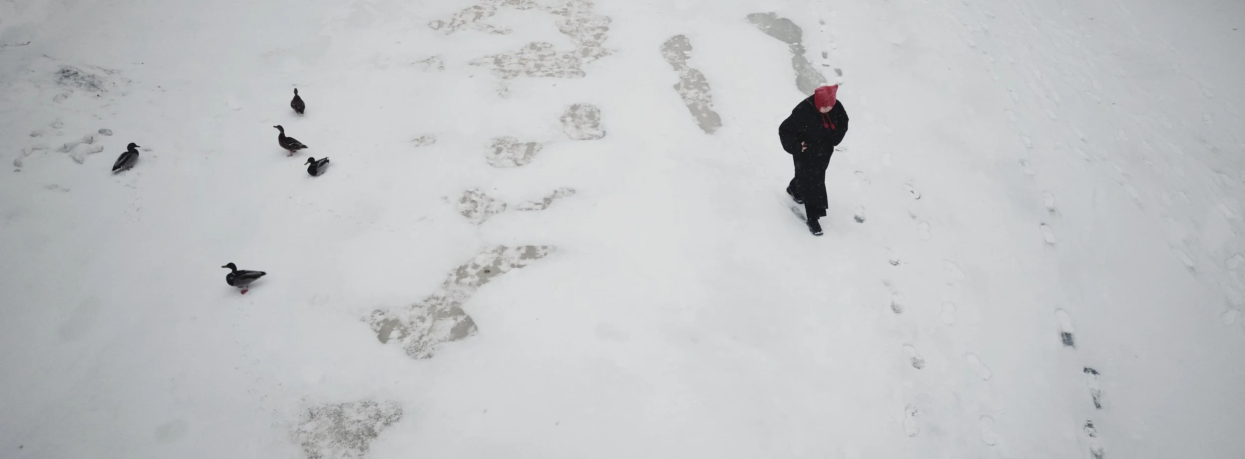 St. Petersbur, Russia, 2026