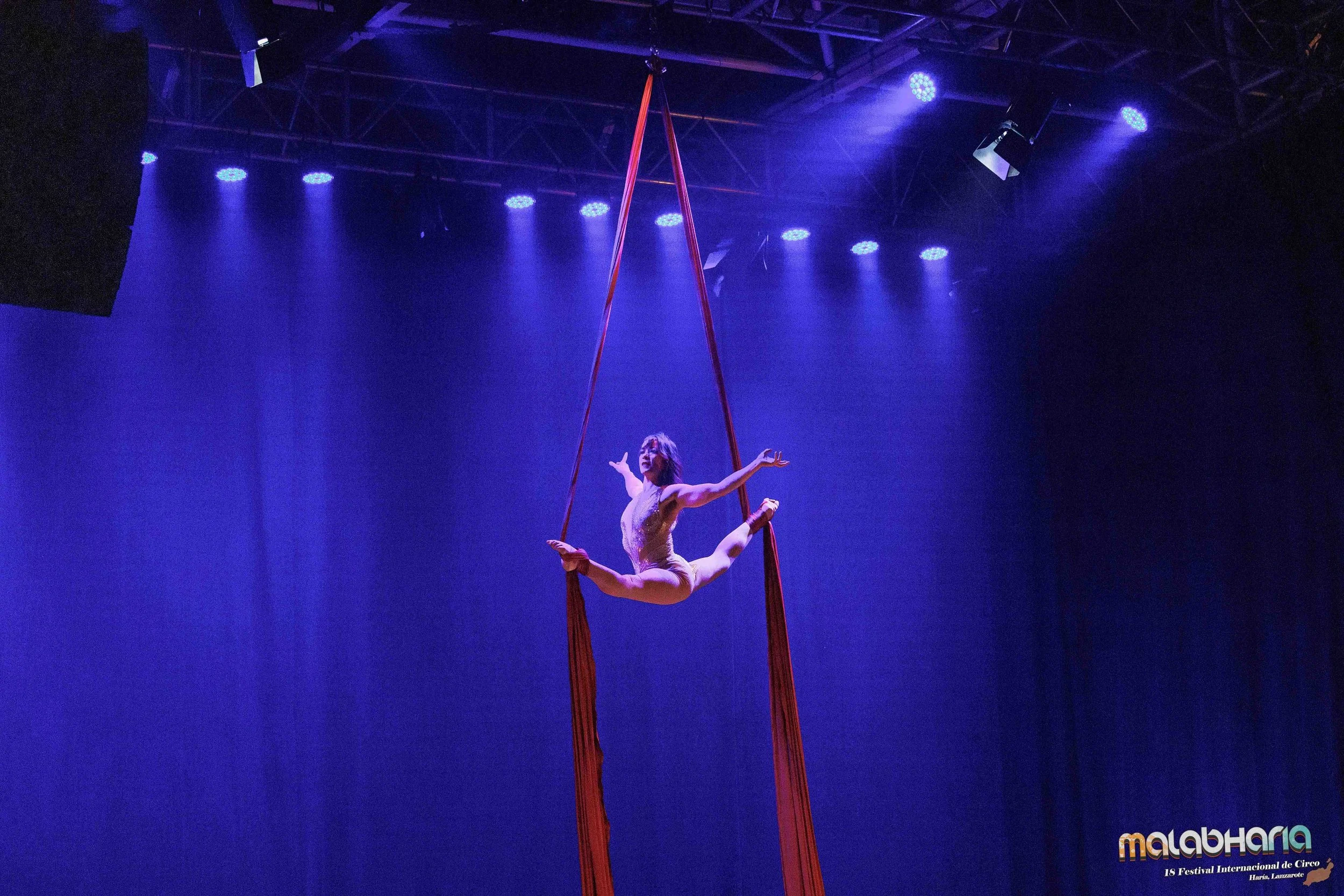 Aerial Silks Act