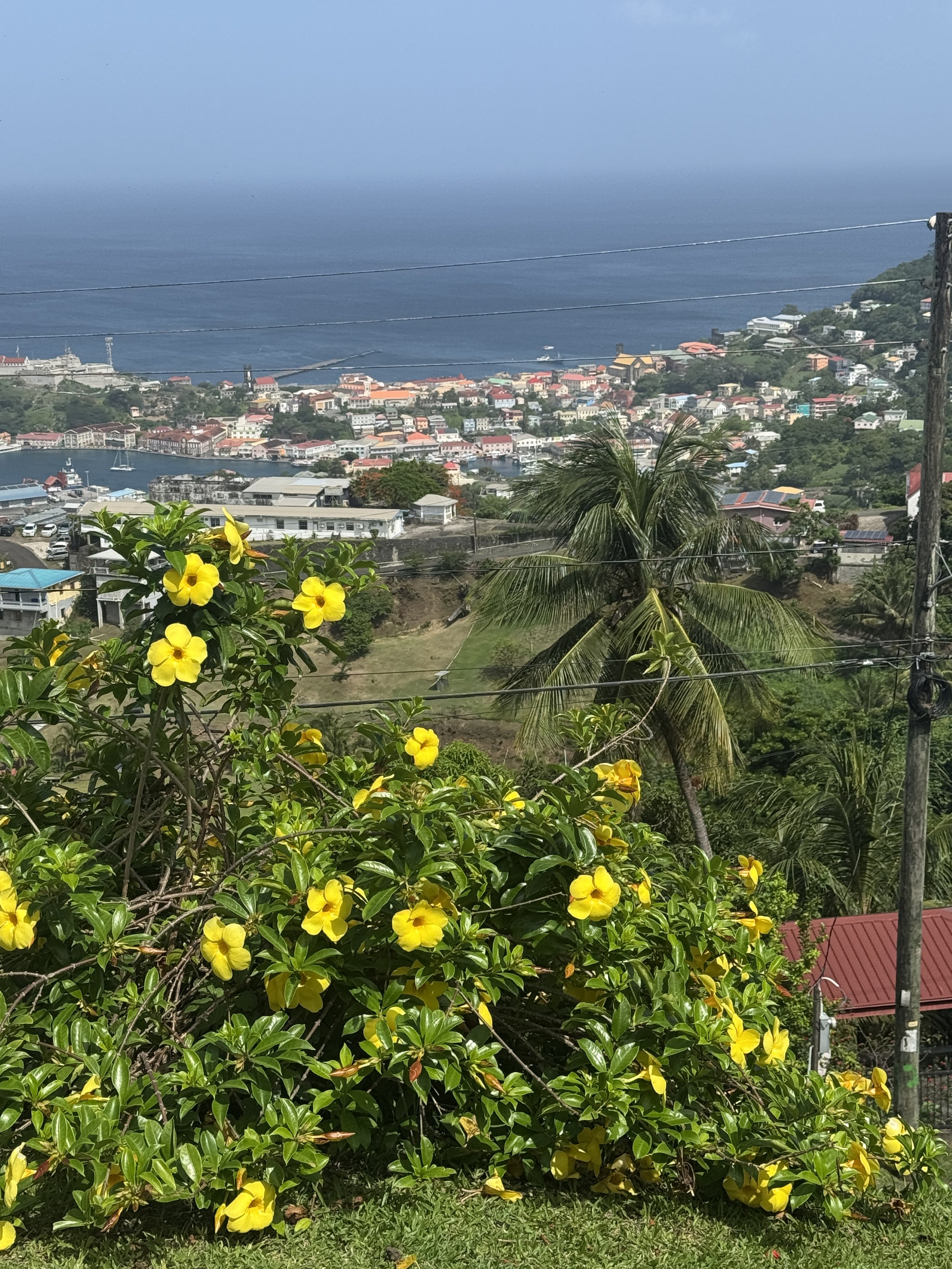 Grenada Views