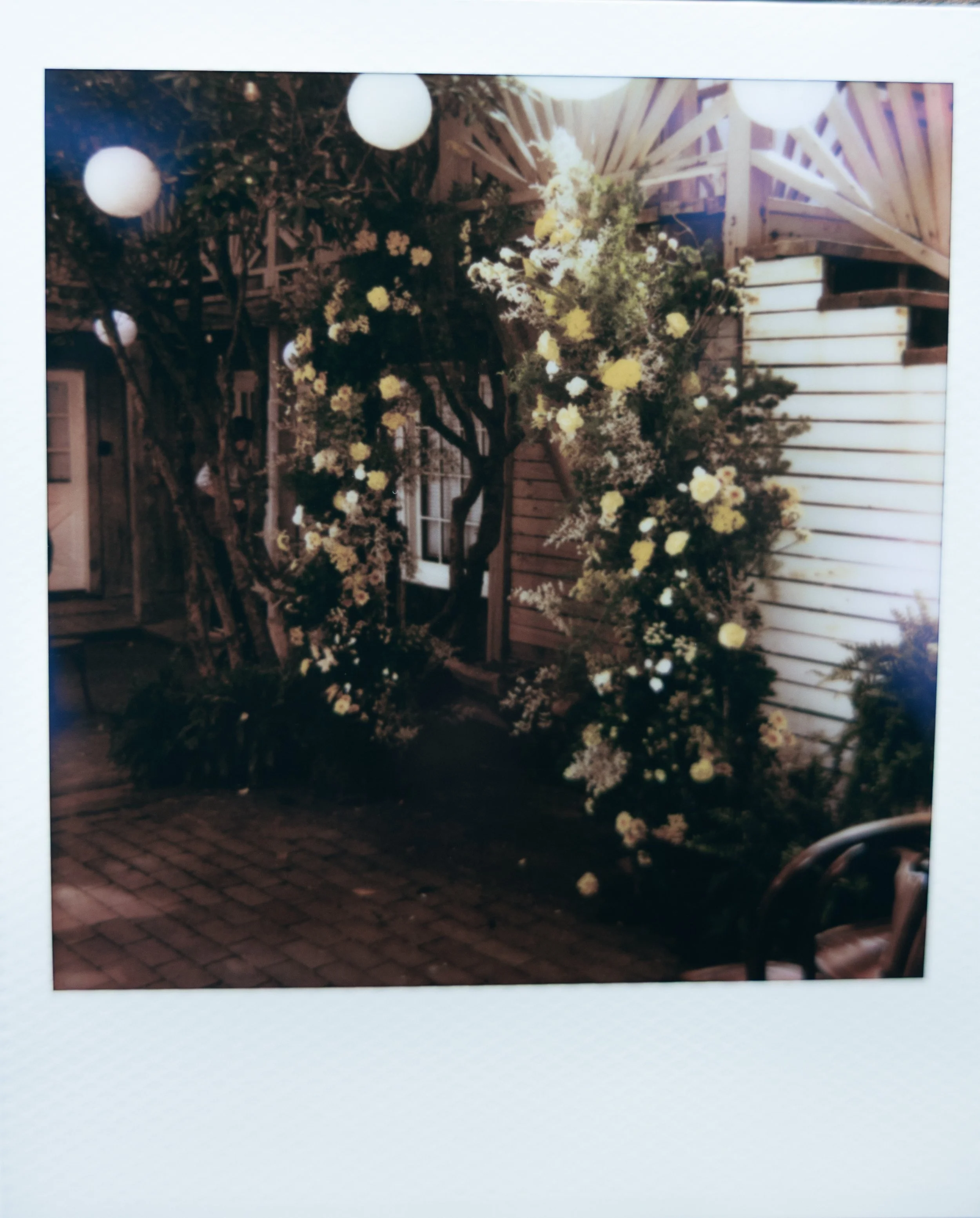 Brianne&PJ-895.jpg
