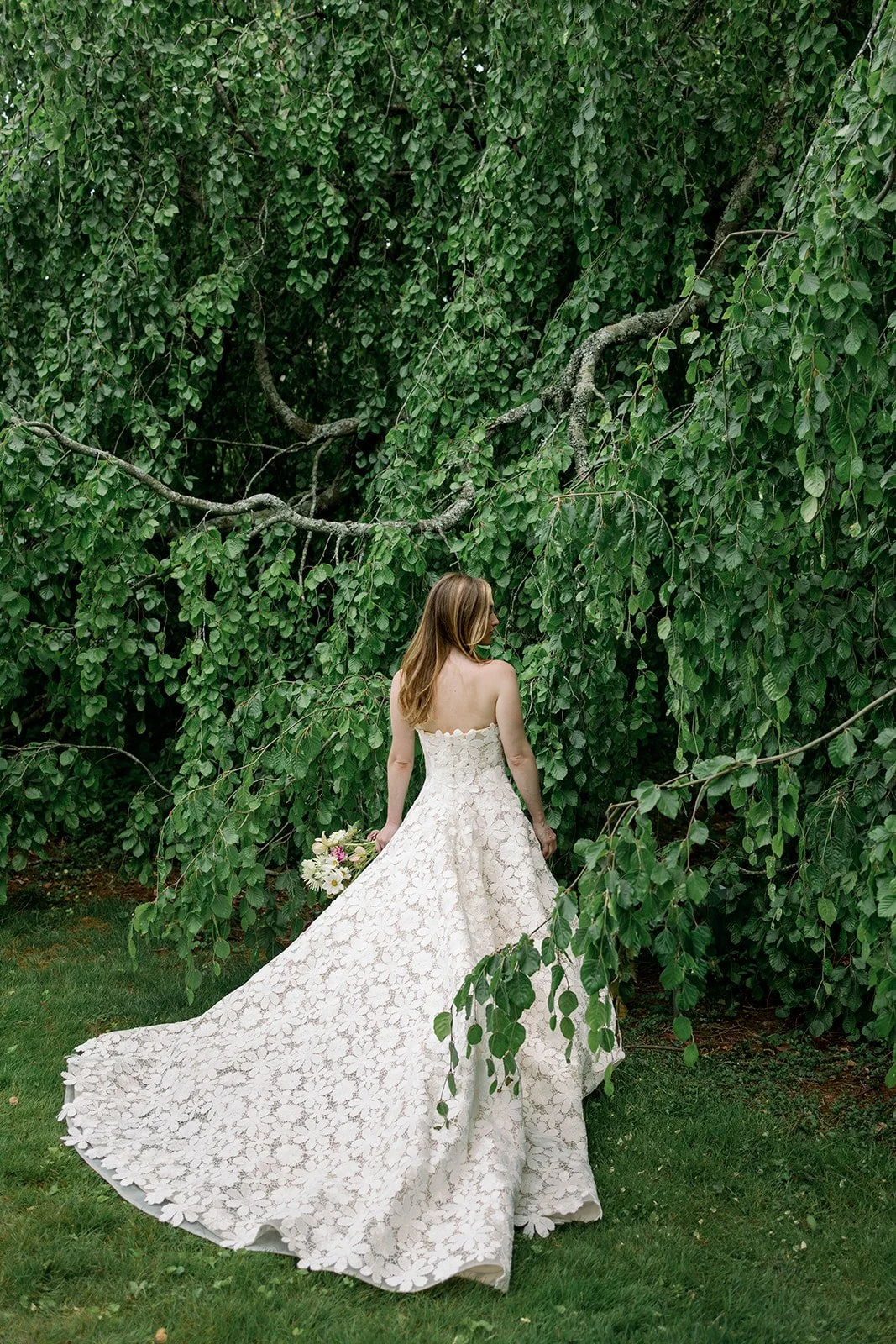 carolyn + matthew