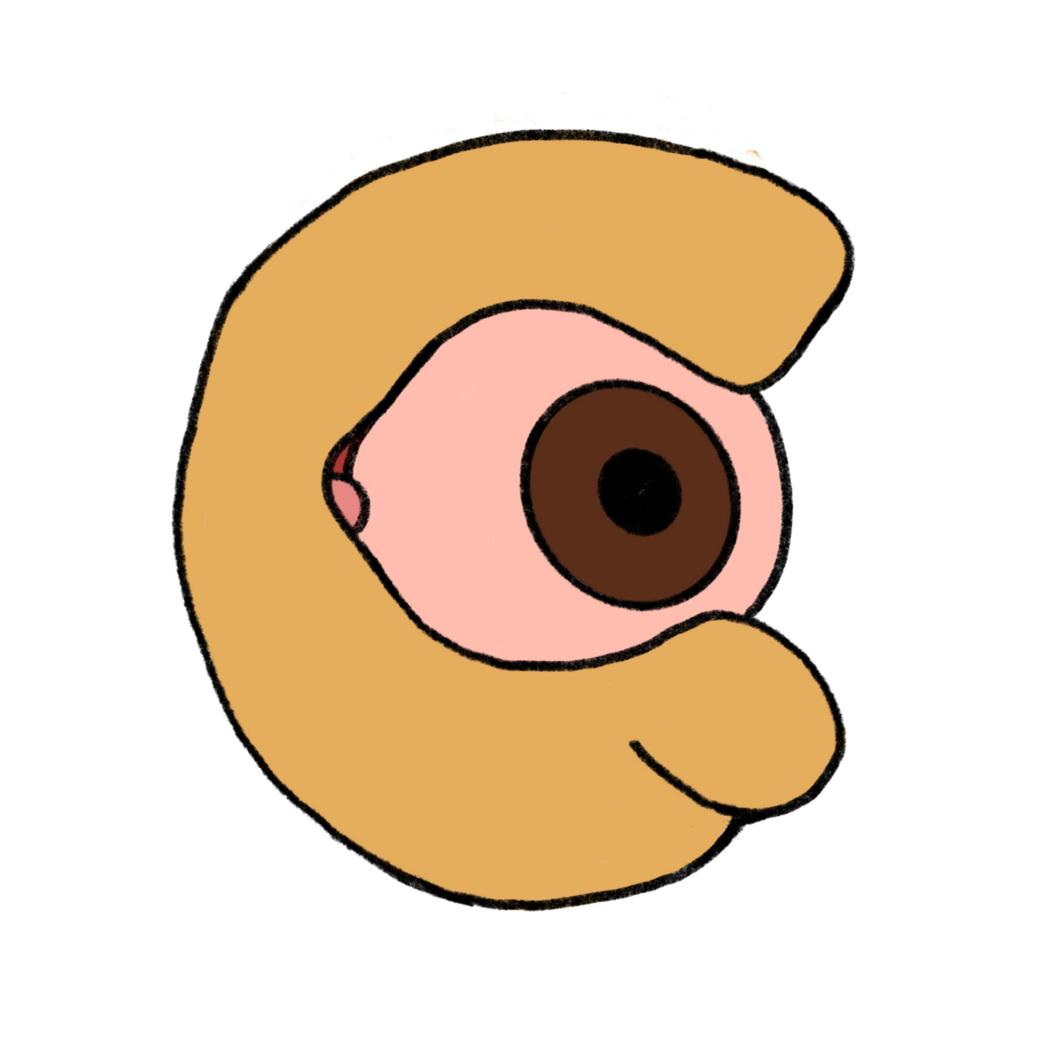 Conjunctivitis_ - Copy.png