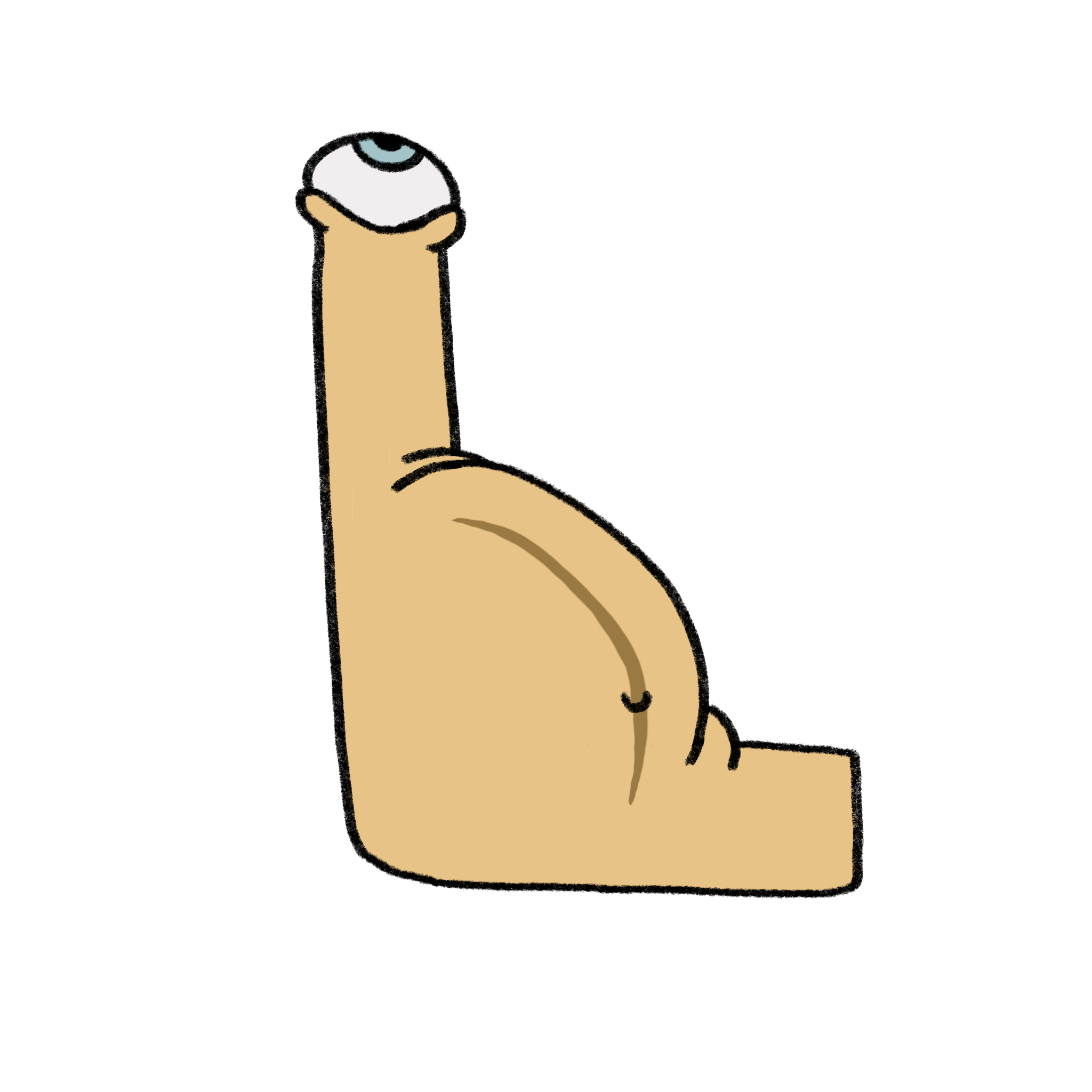 Linea_Nigra_.png