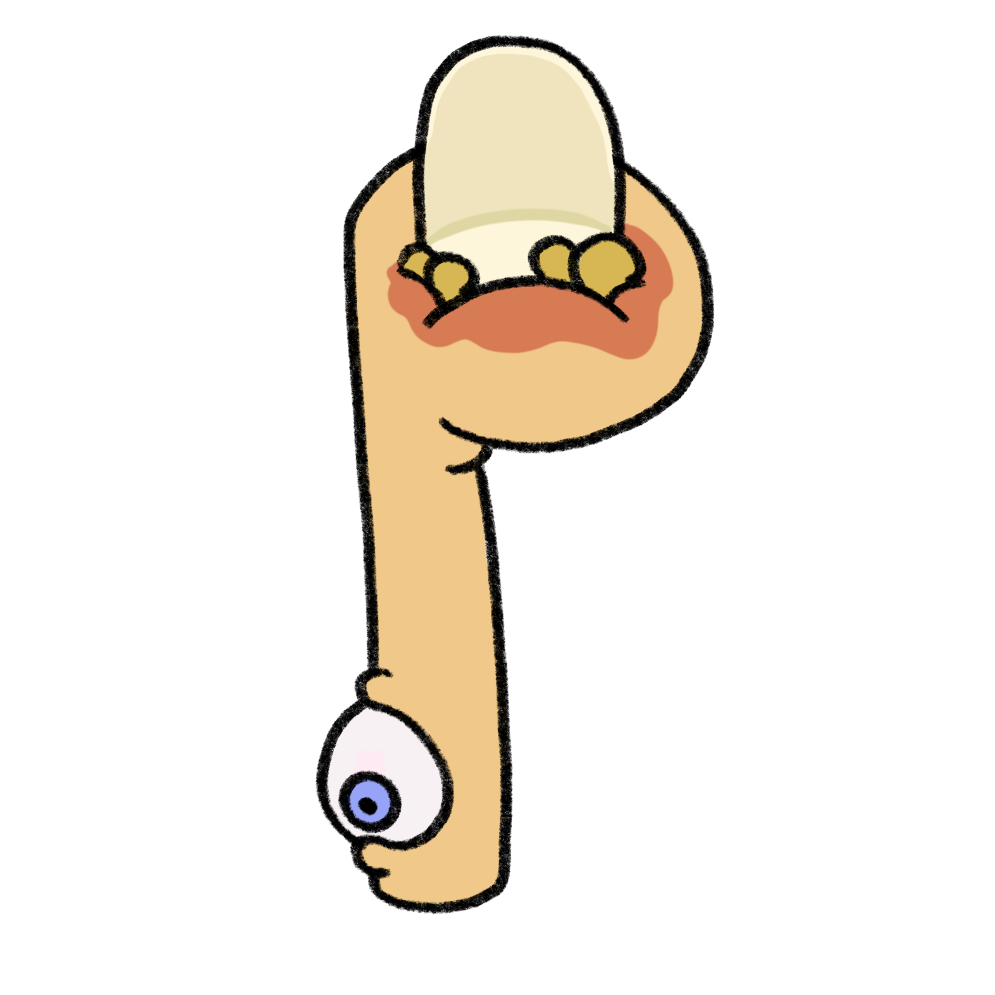 Paronychia_.png